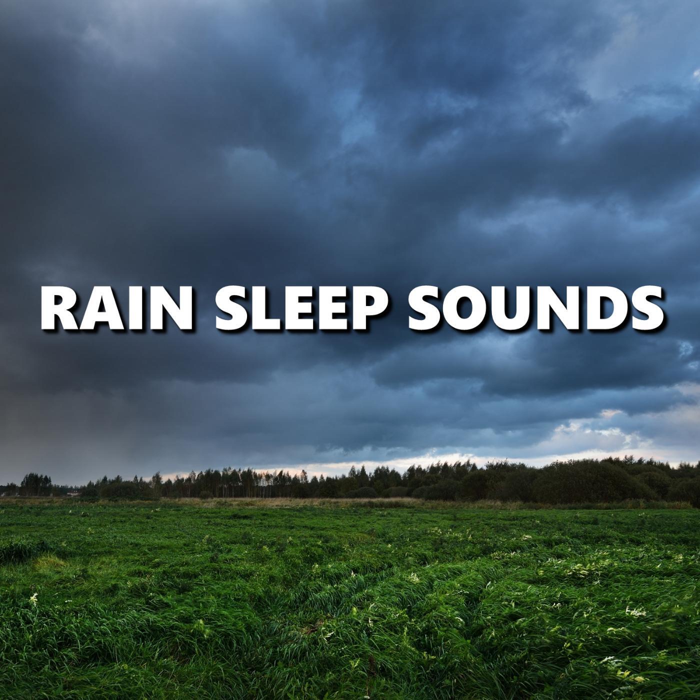 Deep Sleep - Amazing Sunset Rain Sounds