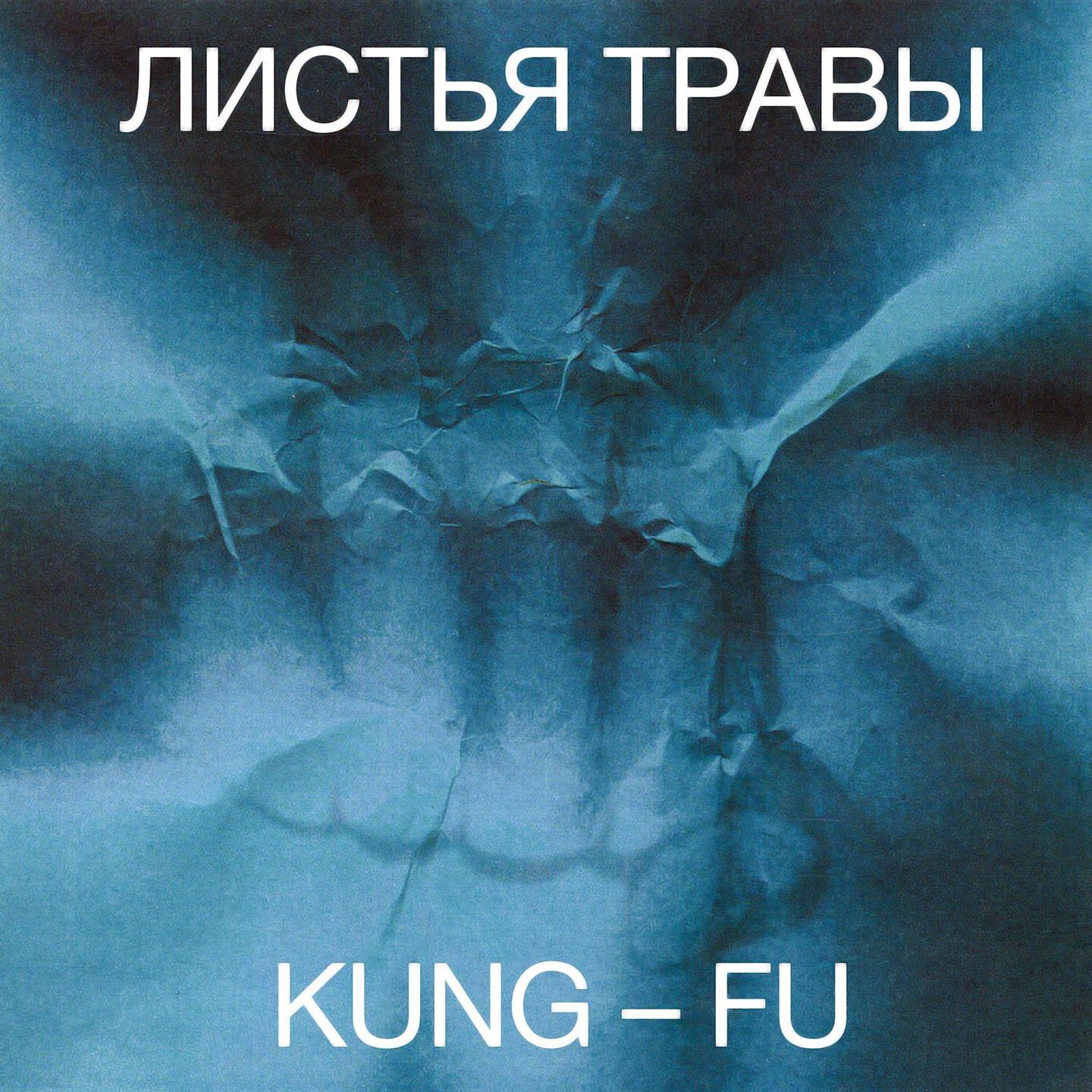 Постер альбома Kung-Fu