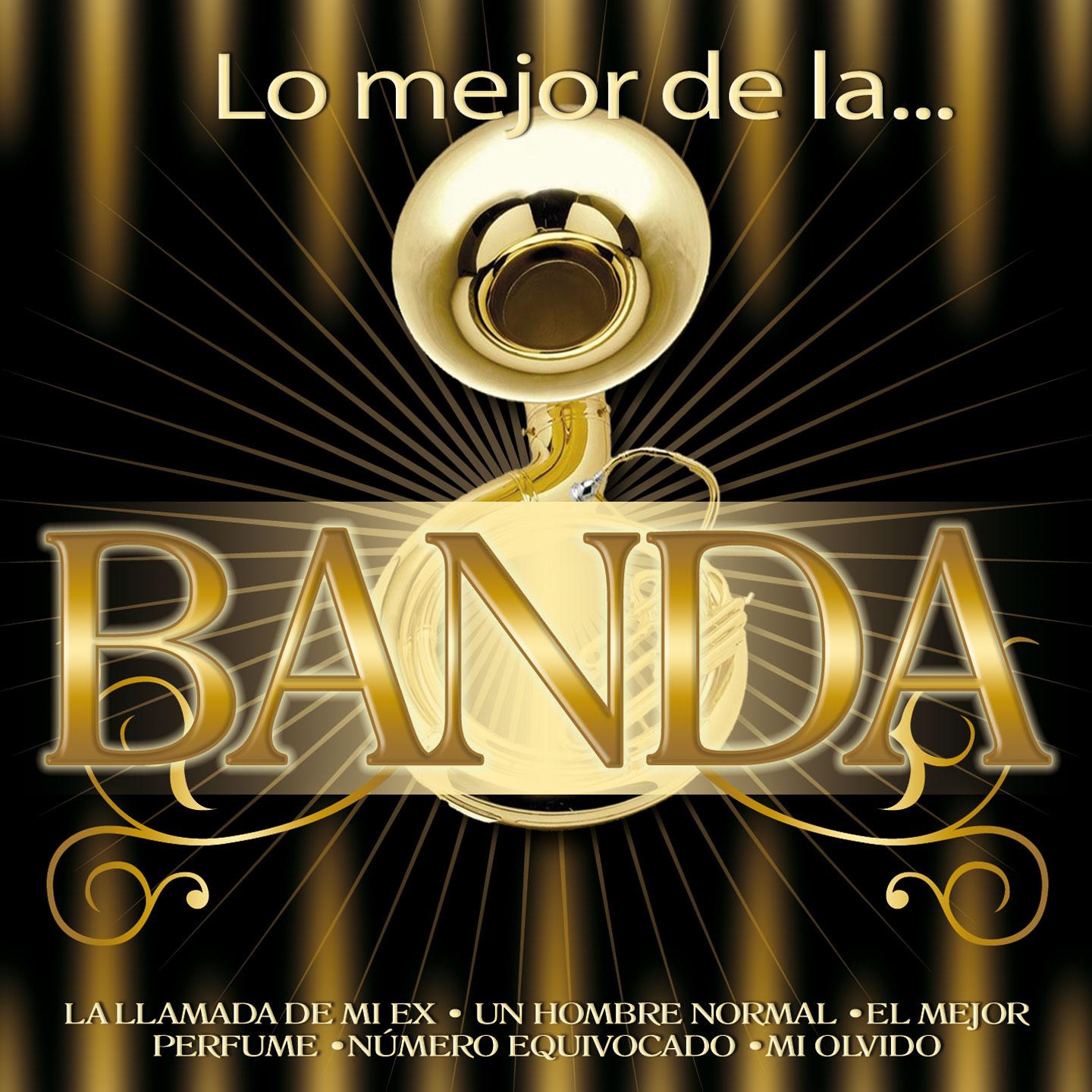 Постер альбома Lo Mejor de la Banda