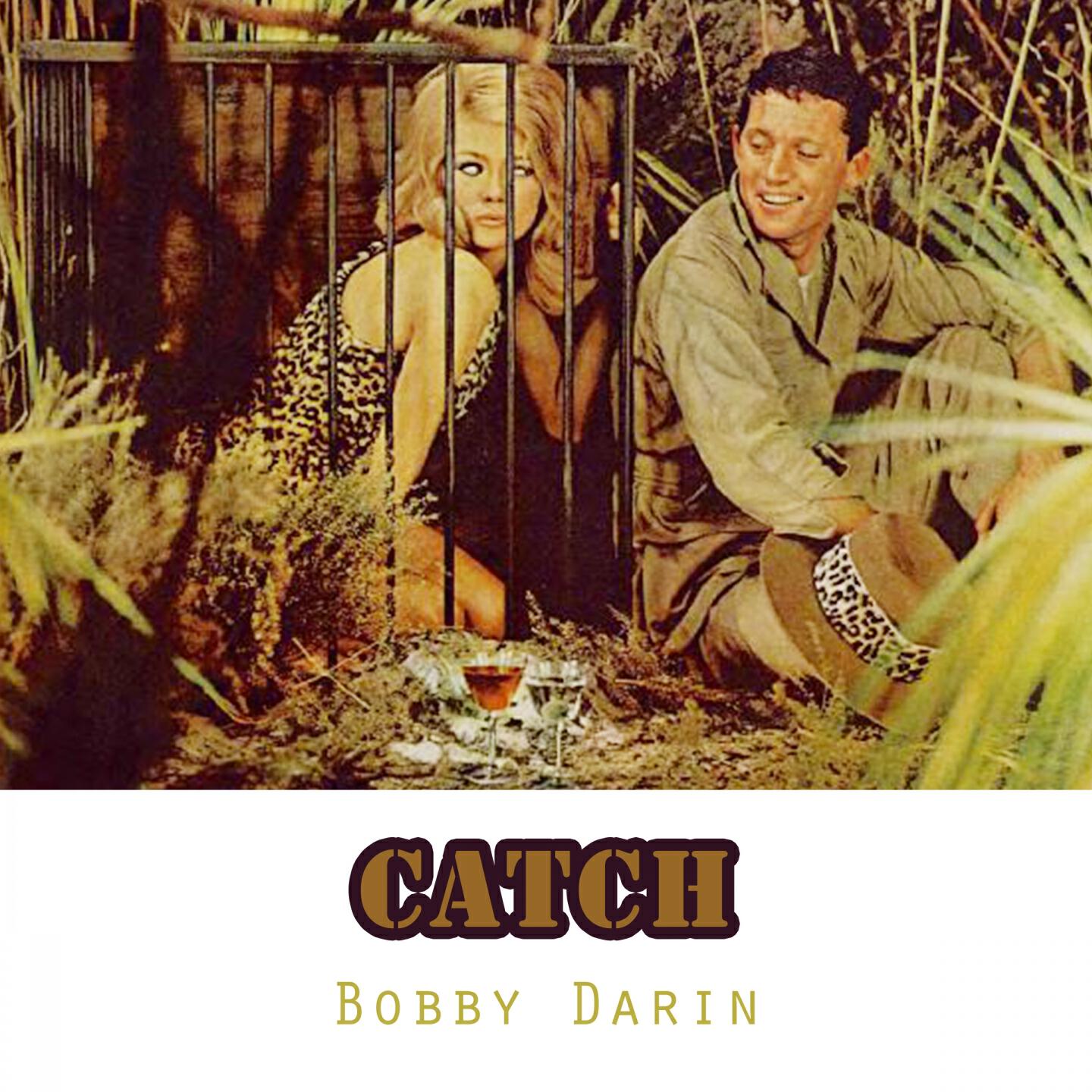 Bobby Darin - A Picture No Artist Could Paint