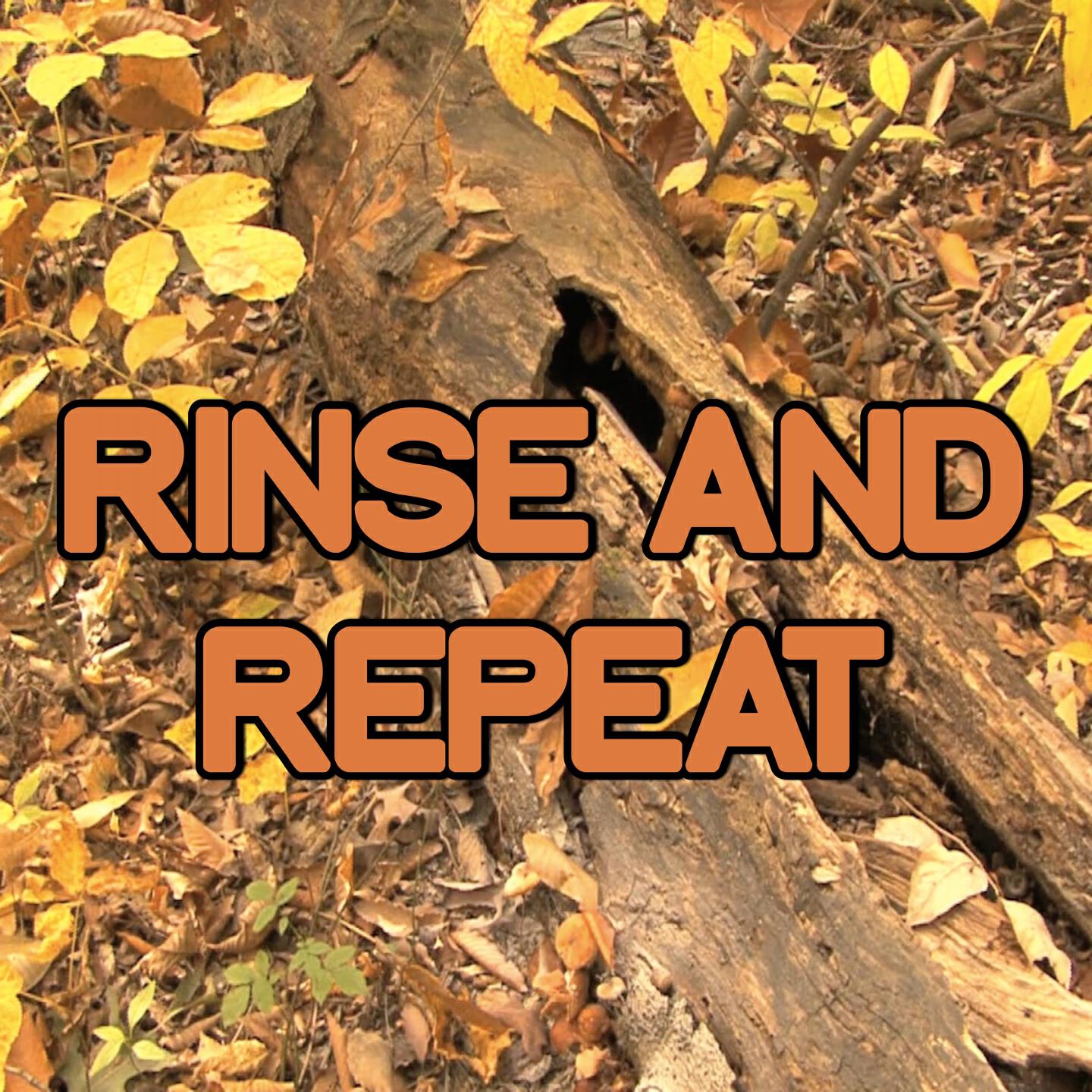 Swift Hits - Rinse & Repeat - Tribute to Riton and Kah-Lo