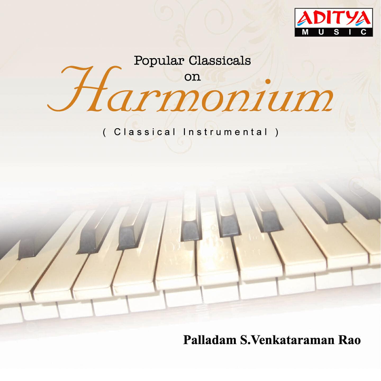 Palladam S. Venkataraman Rao - Bhagiyadra Lakshimi - Sri - Aadi