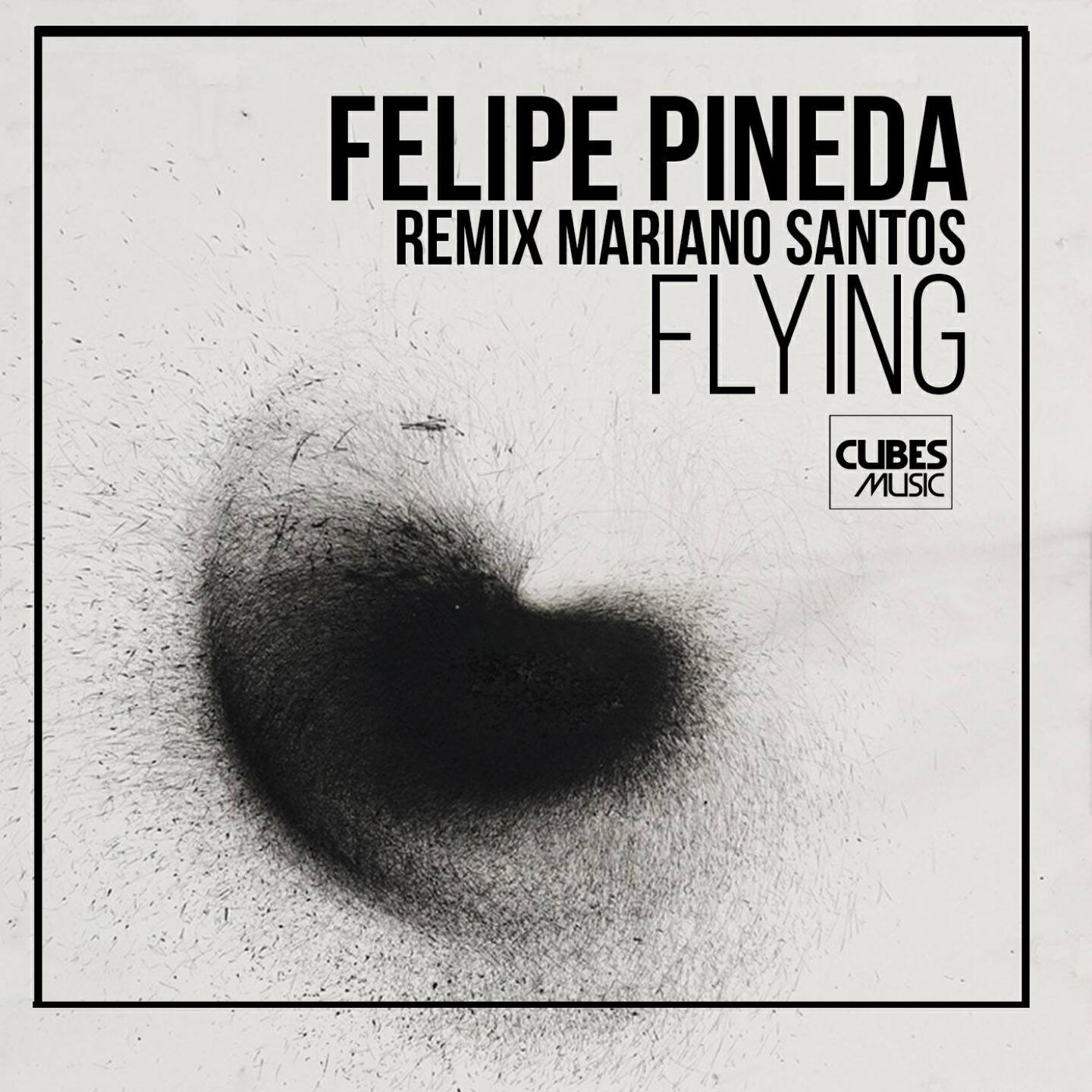 Felipe Pineda - Flying (Mariano Santos Remix)