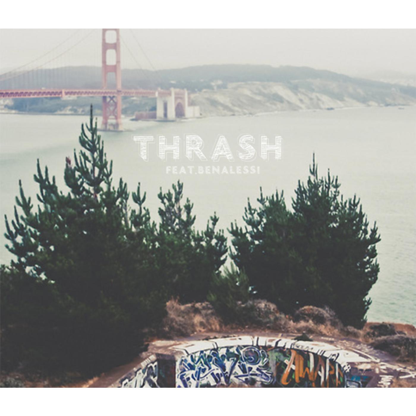 Постер альбома Thrash (feat. Ben Alessi)
