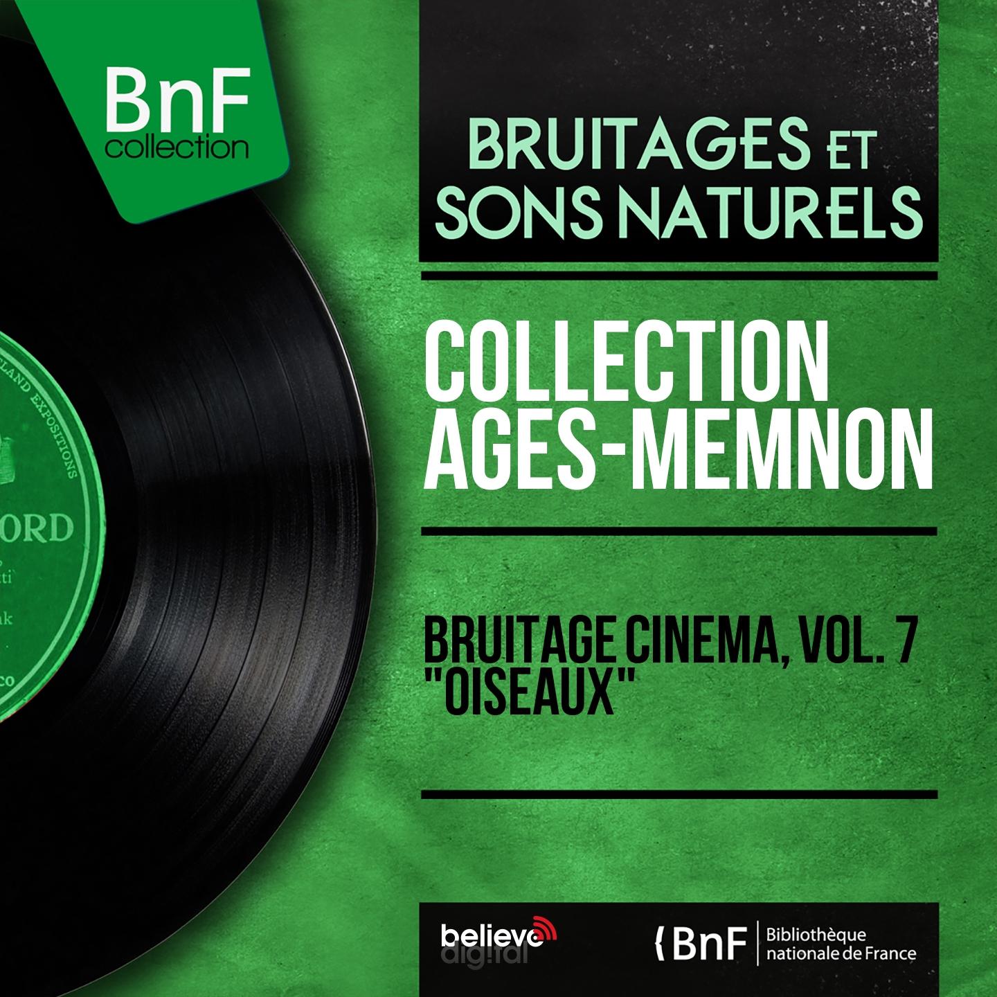 Постер альбома Bruitage cinéma, vol. 7 "Oiseaux" (Mono Version)