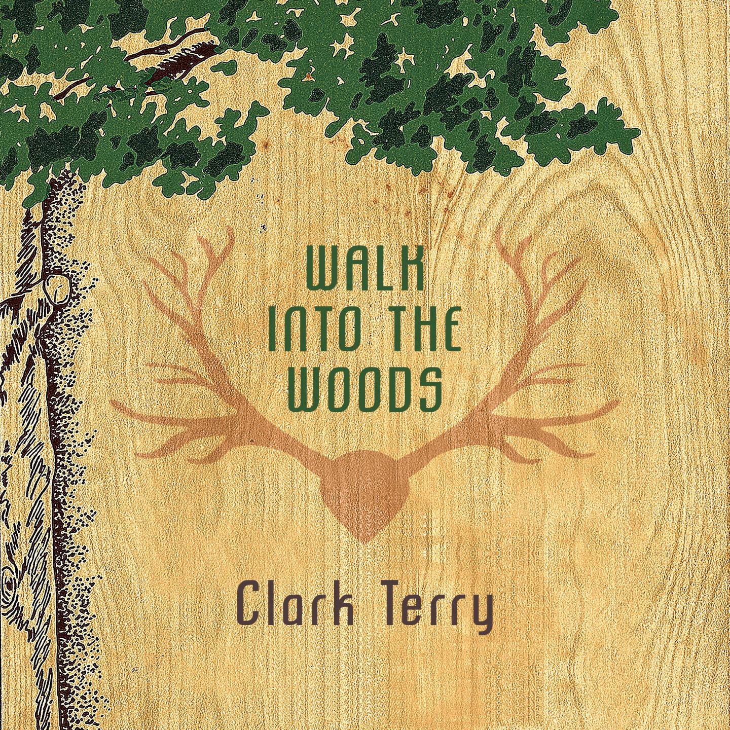 Постер альбома Walk Into The Woods
