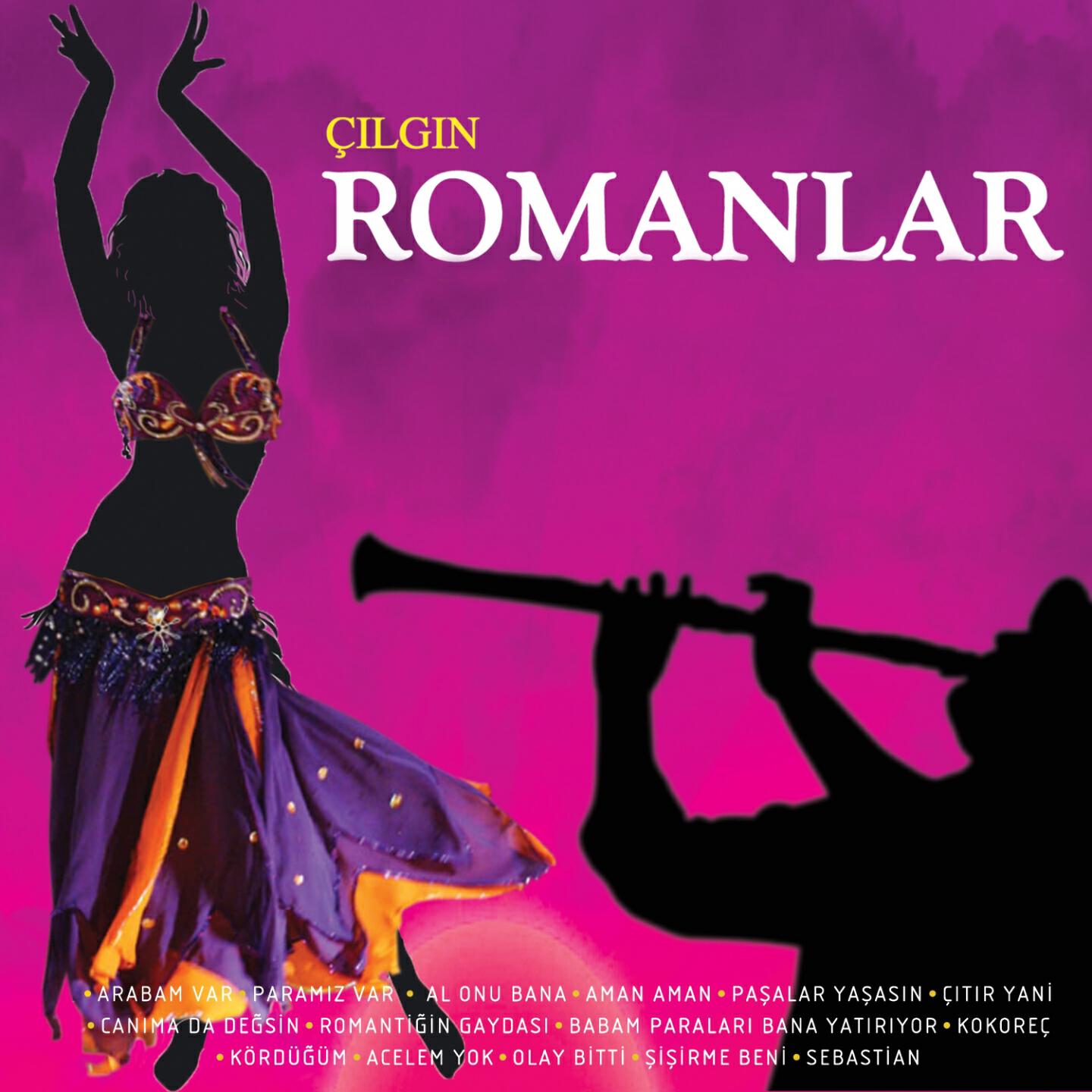 Romantik Erhan - Romantiğin Gaydası