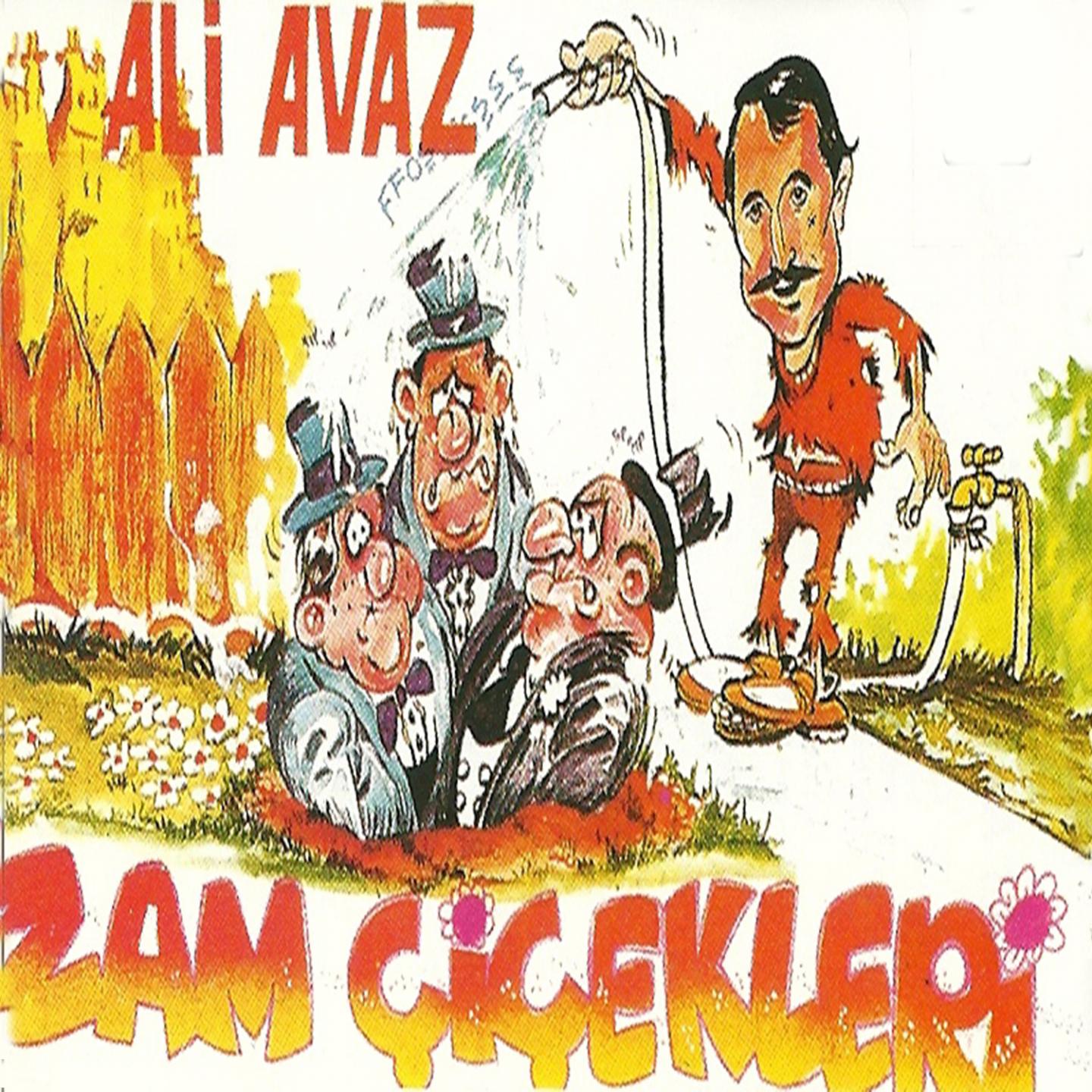 Постер альбома Zam Çiçekleri