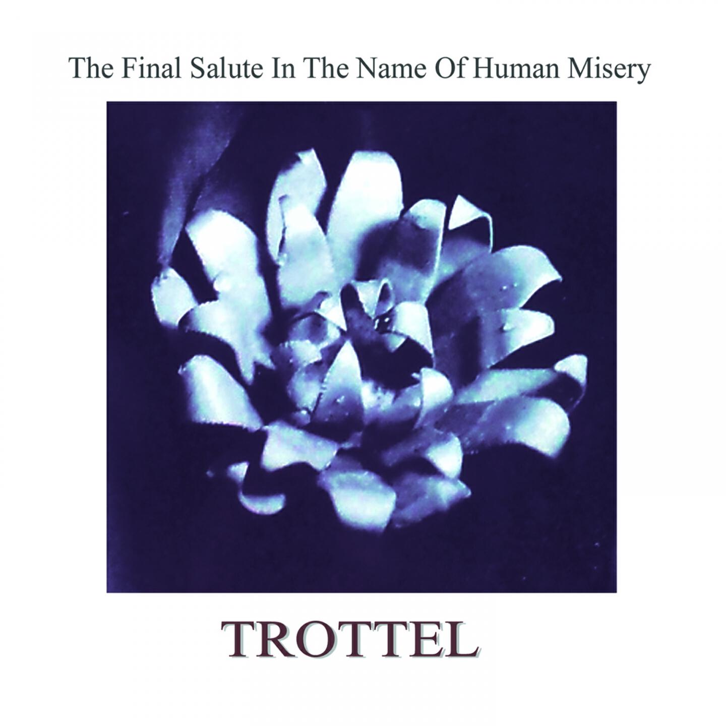 Trottel - After Dealing Out