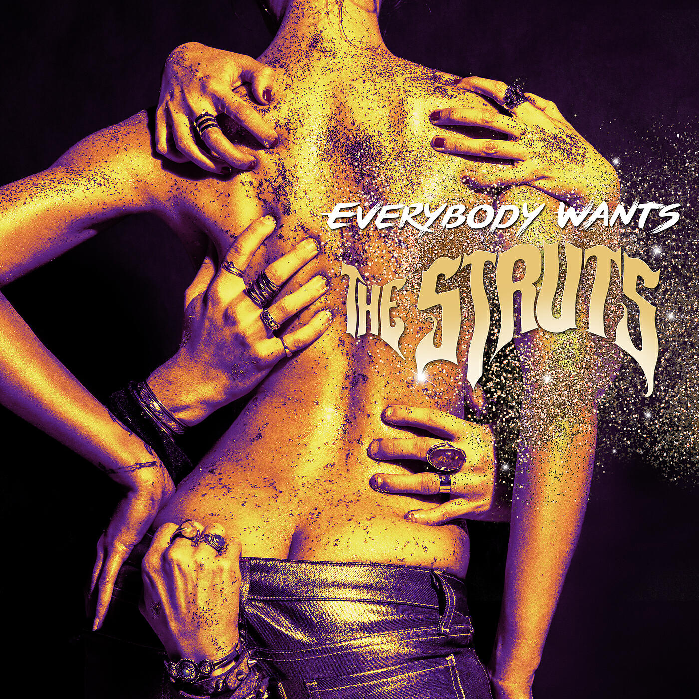 The Struts - These Times Are Changing
