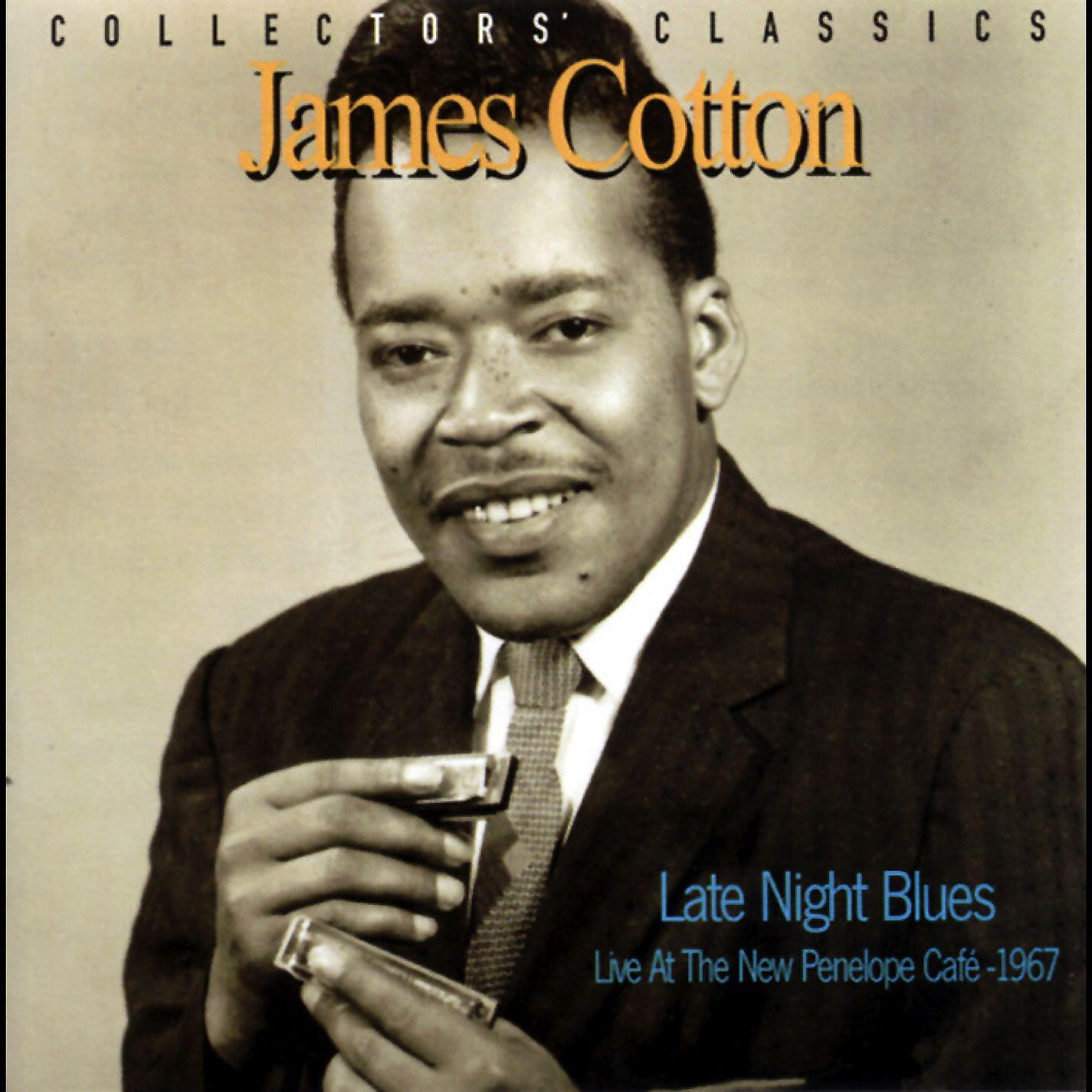 James Cotton - Black Night (Live)
