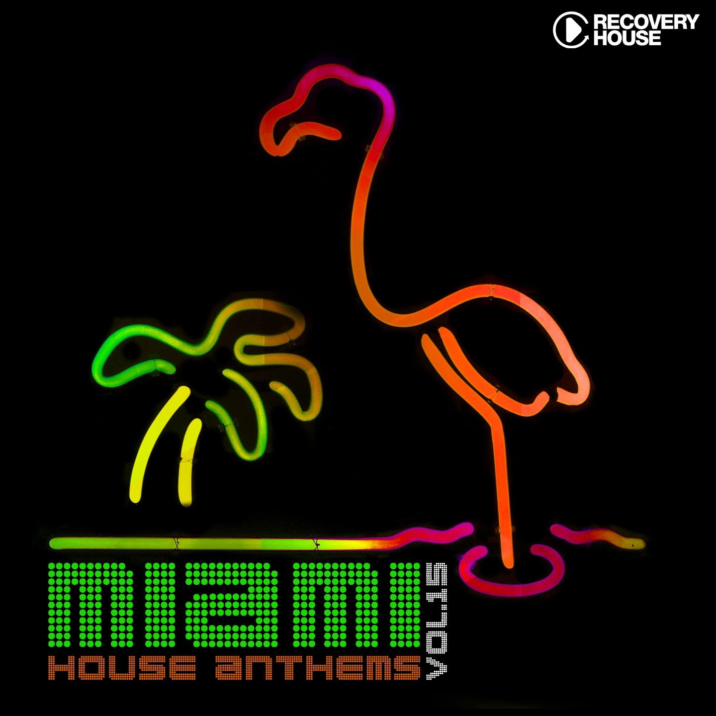 Постер альбома Miami House Anthems, Vol. 15