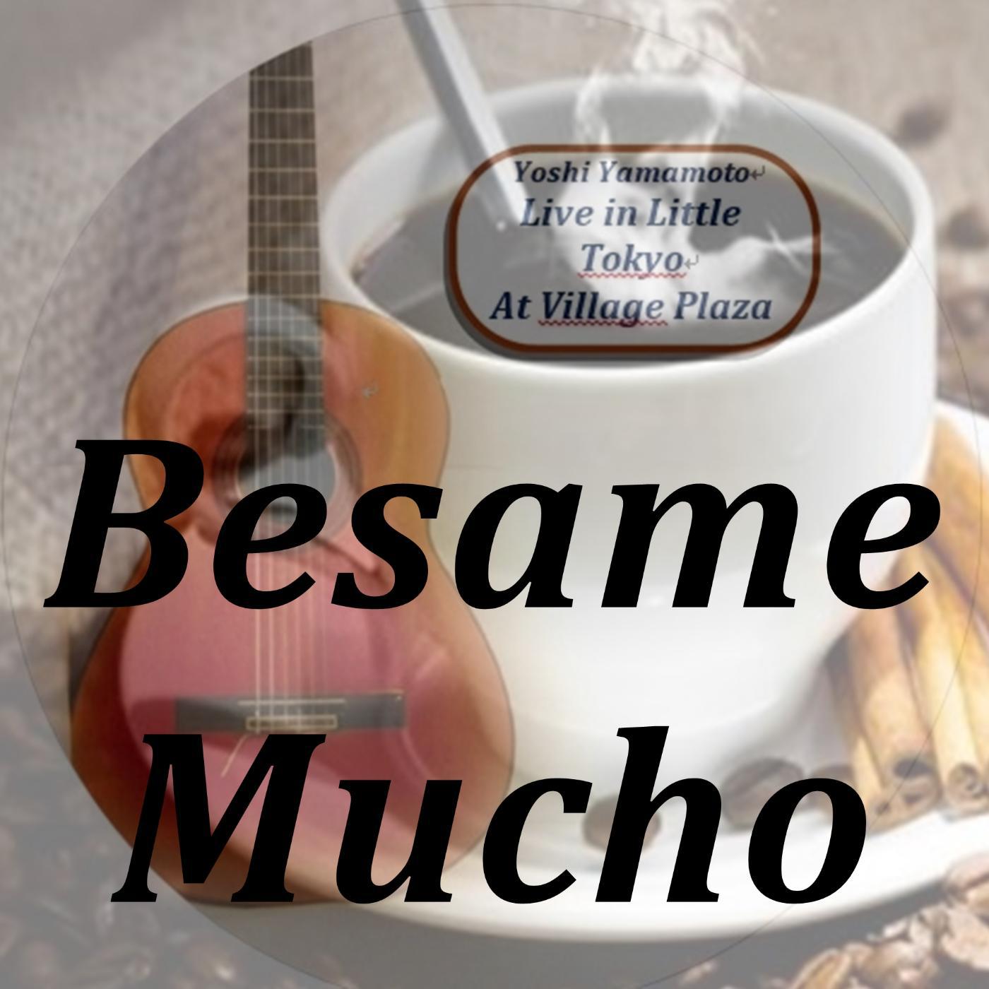 Постер альбома Besame Mucho (Live)