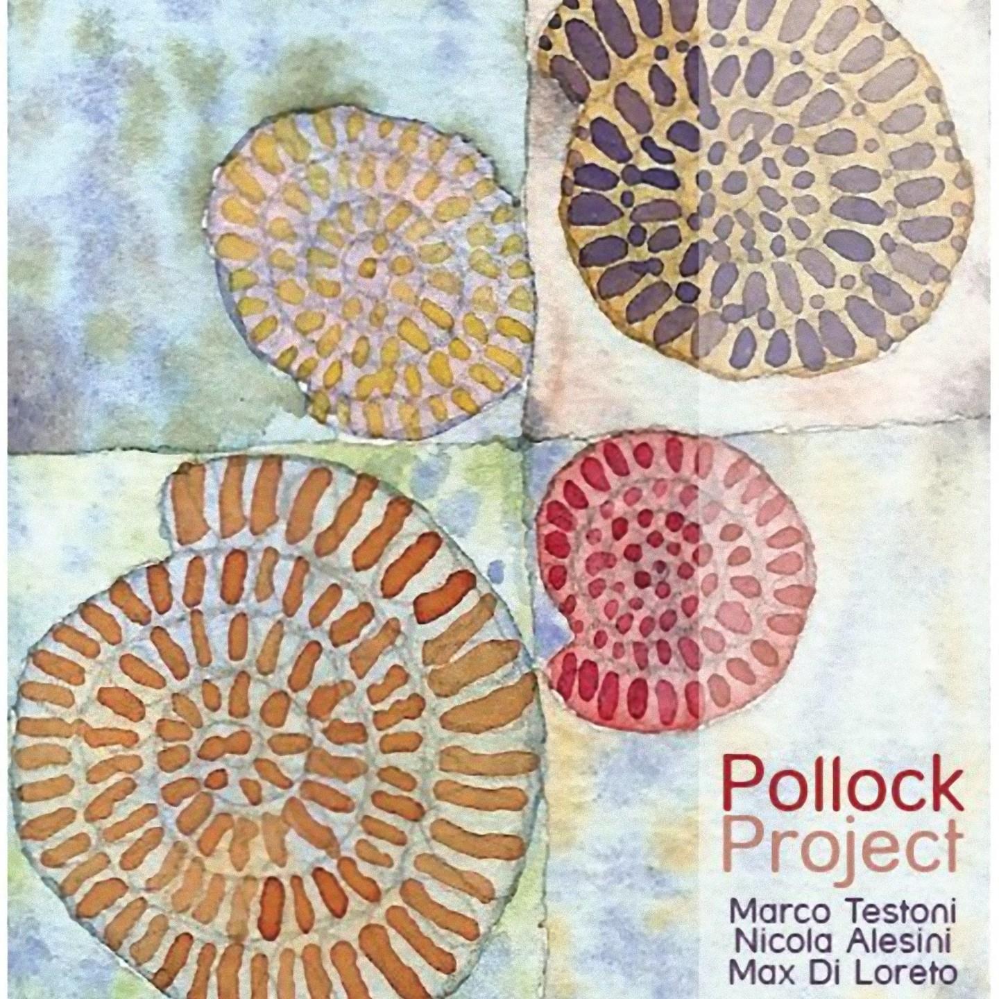 Постер альбома Pollock Project