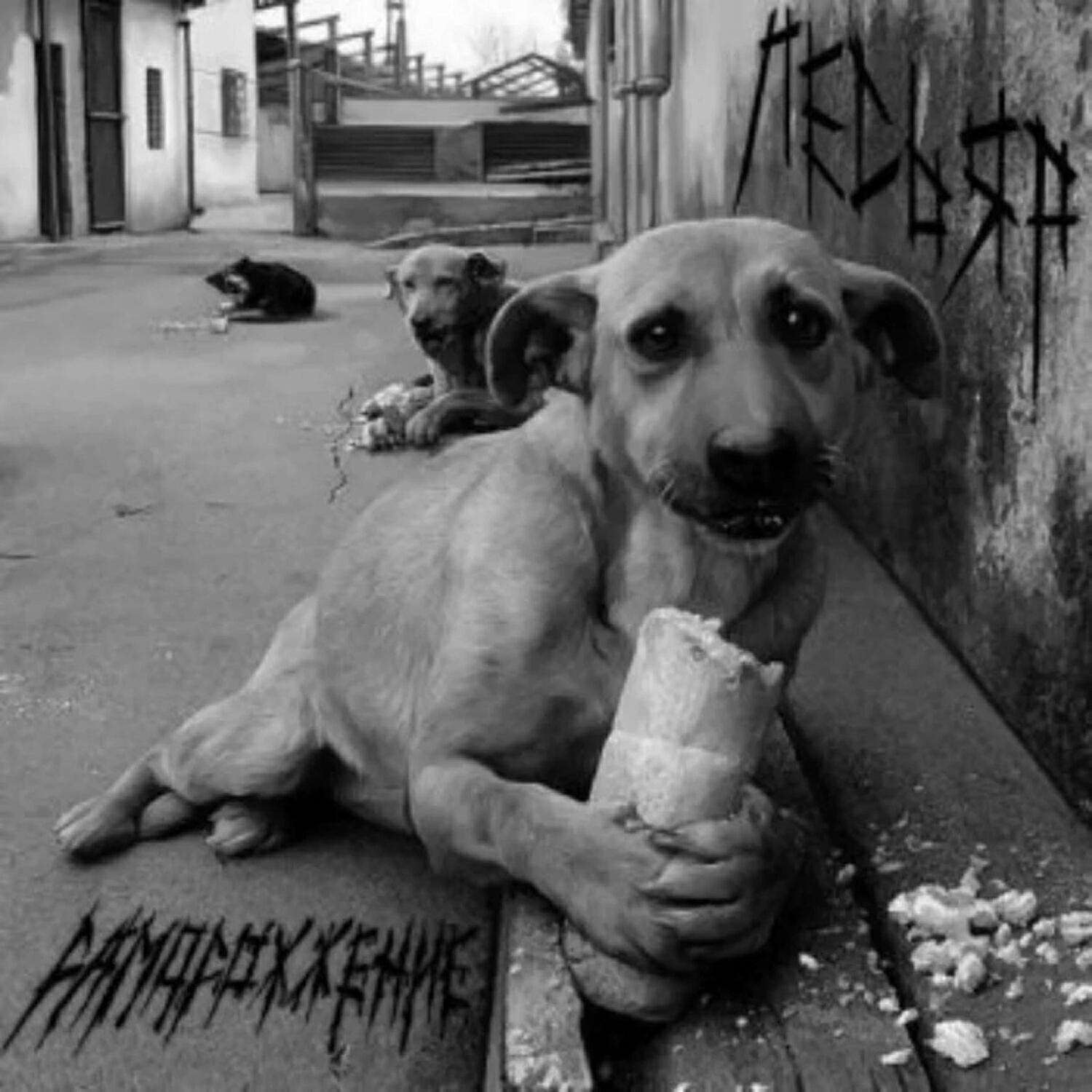 Лесьяр все песни в mp3