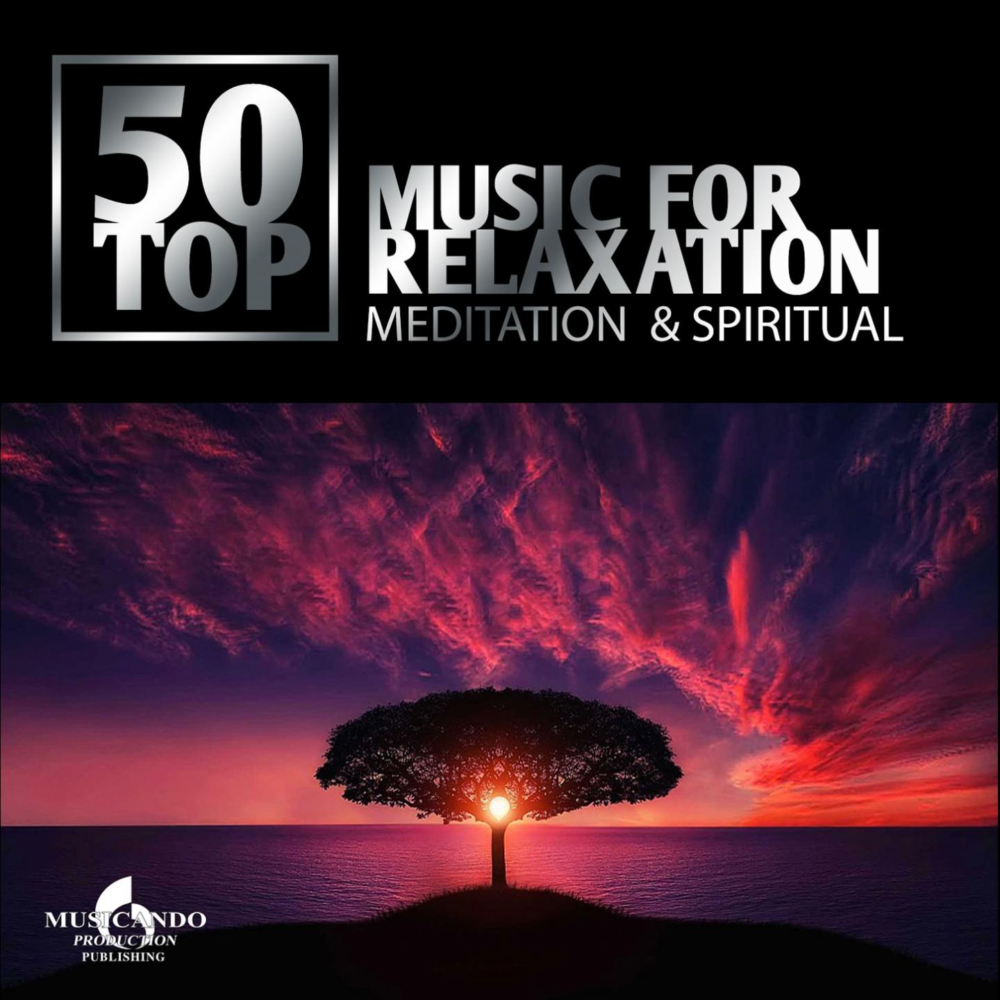 Постер альбома 50 Top Music for Relaxation