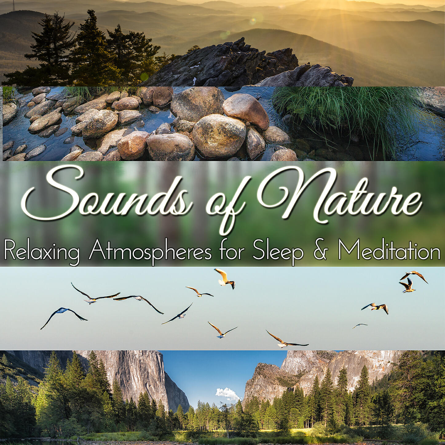 Audio Decor Sound Effects - Forest Glade