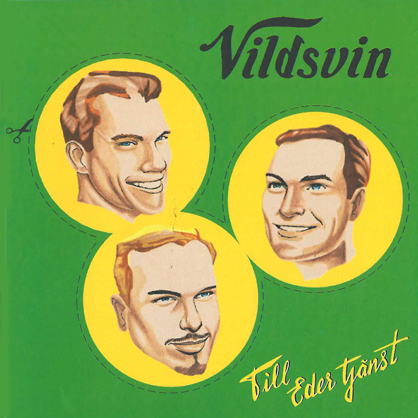 Vildsvin - In i dimman