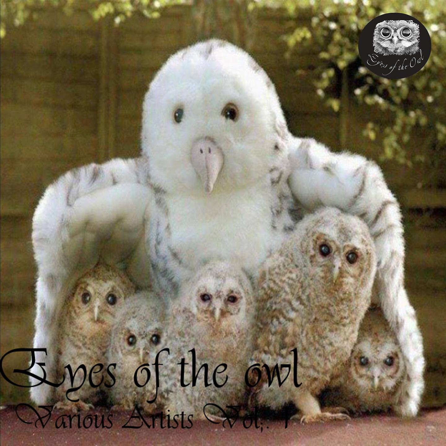 Постер альбома Eyes of the Owl, Vol. 1