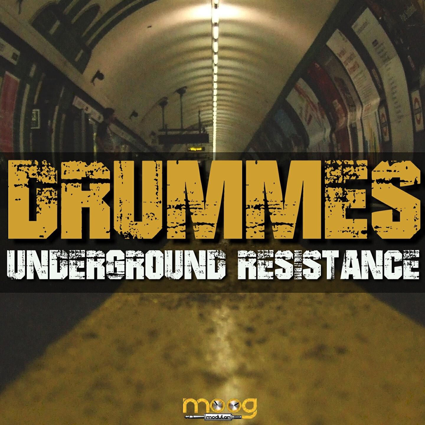 Drummes - Xandra