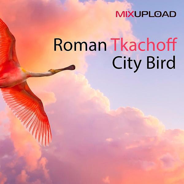 Постер альбома City Bird