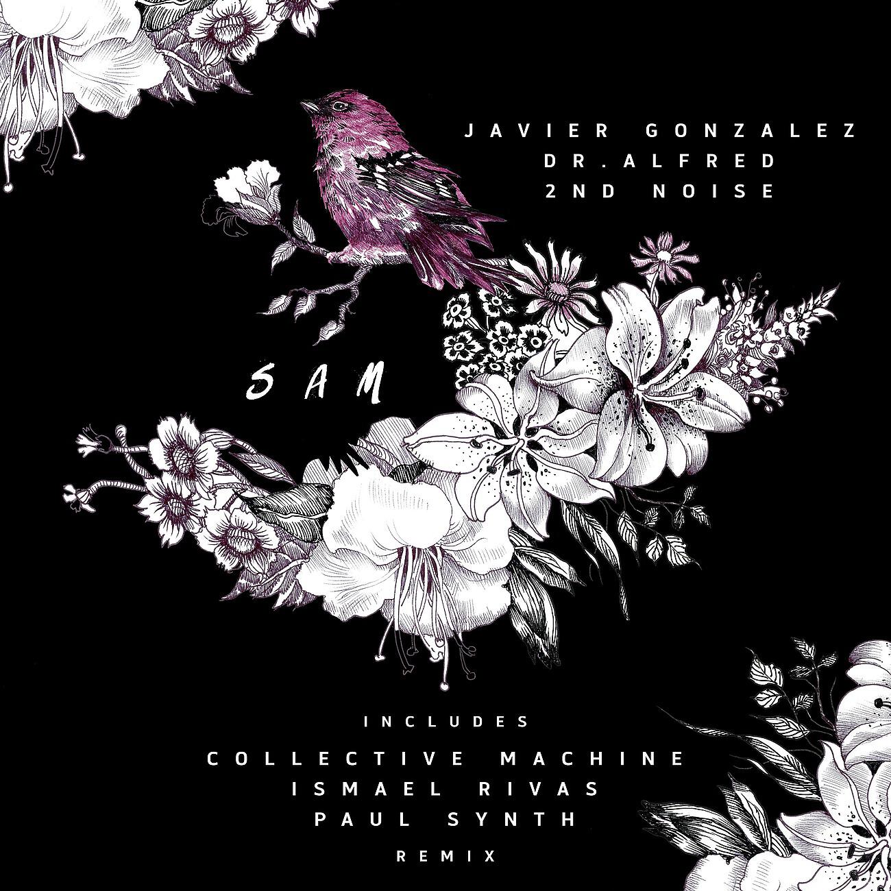 Javier Gonzalez - Sam (Collective Machine Remix)