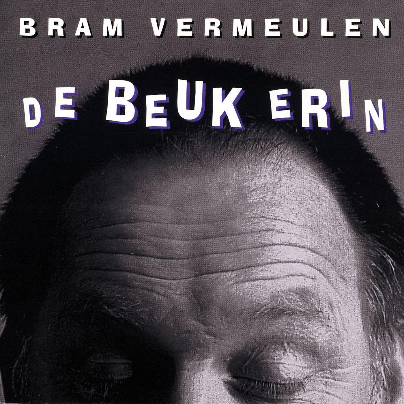 Bram Vermeulen - De Beuk Erin I