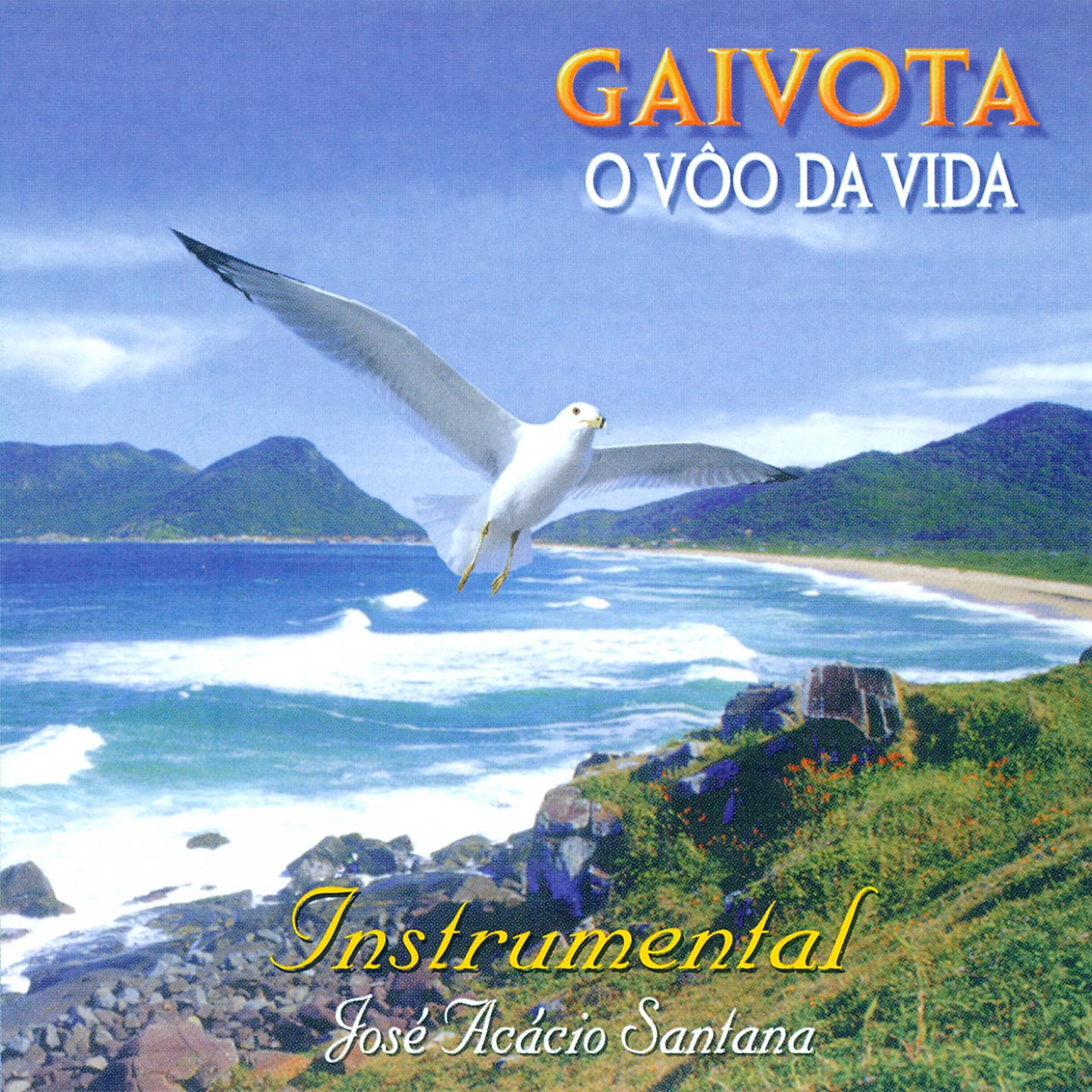 Постер альбома Gaivota, o Vôo da Vida