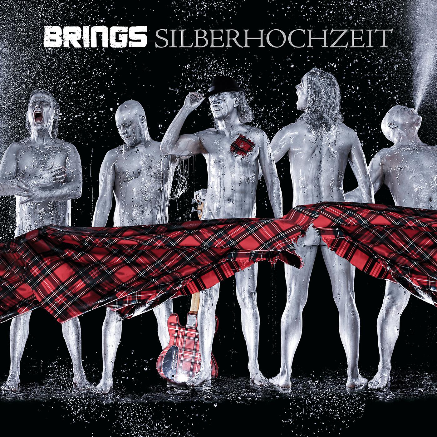 Постер альбома Silberhochzeit (Best Of)