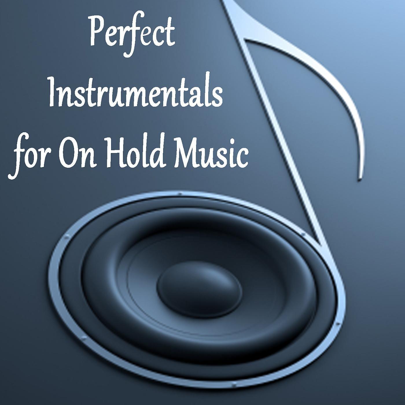 Постер альбома Perfect Instrumentals for on Hold Music