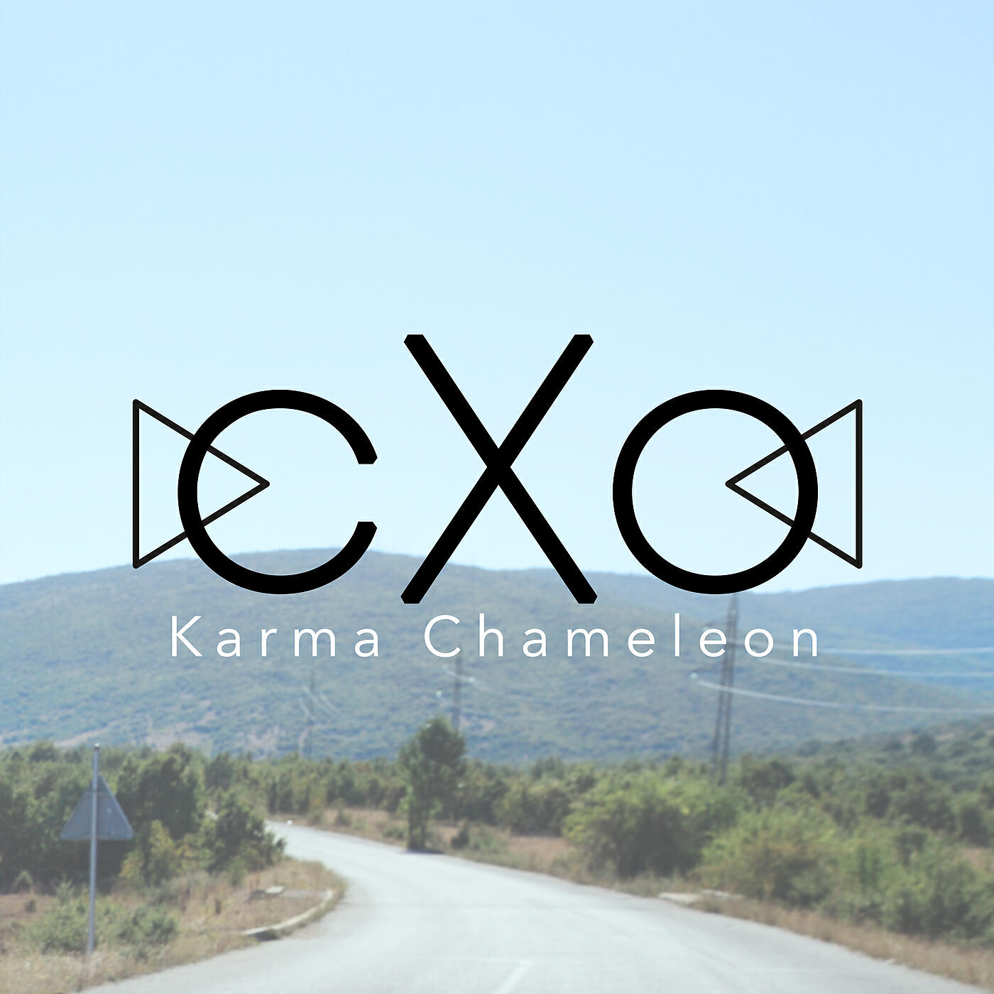 cXo - Karma Chameleon