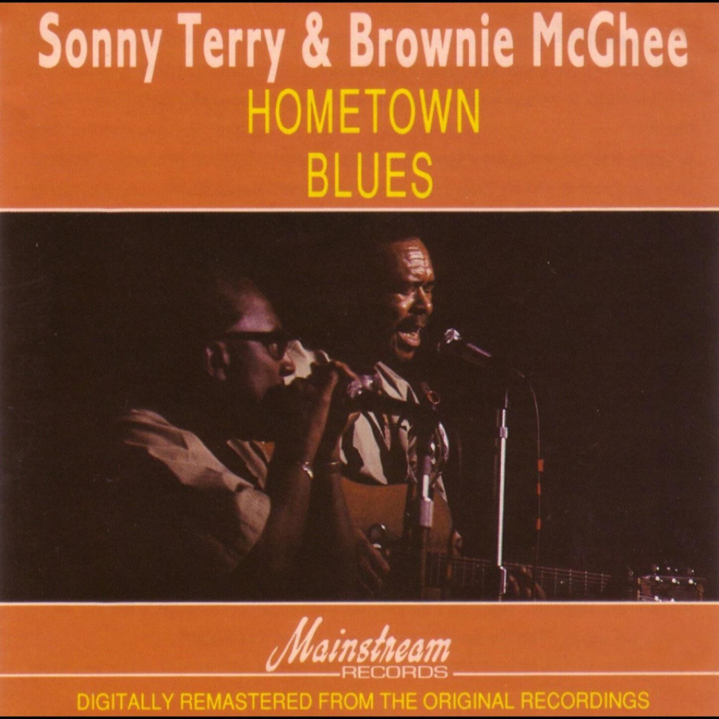 Sonny Terry & Brownie McGhee - The Woman Is Killing Me