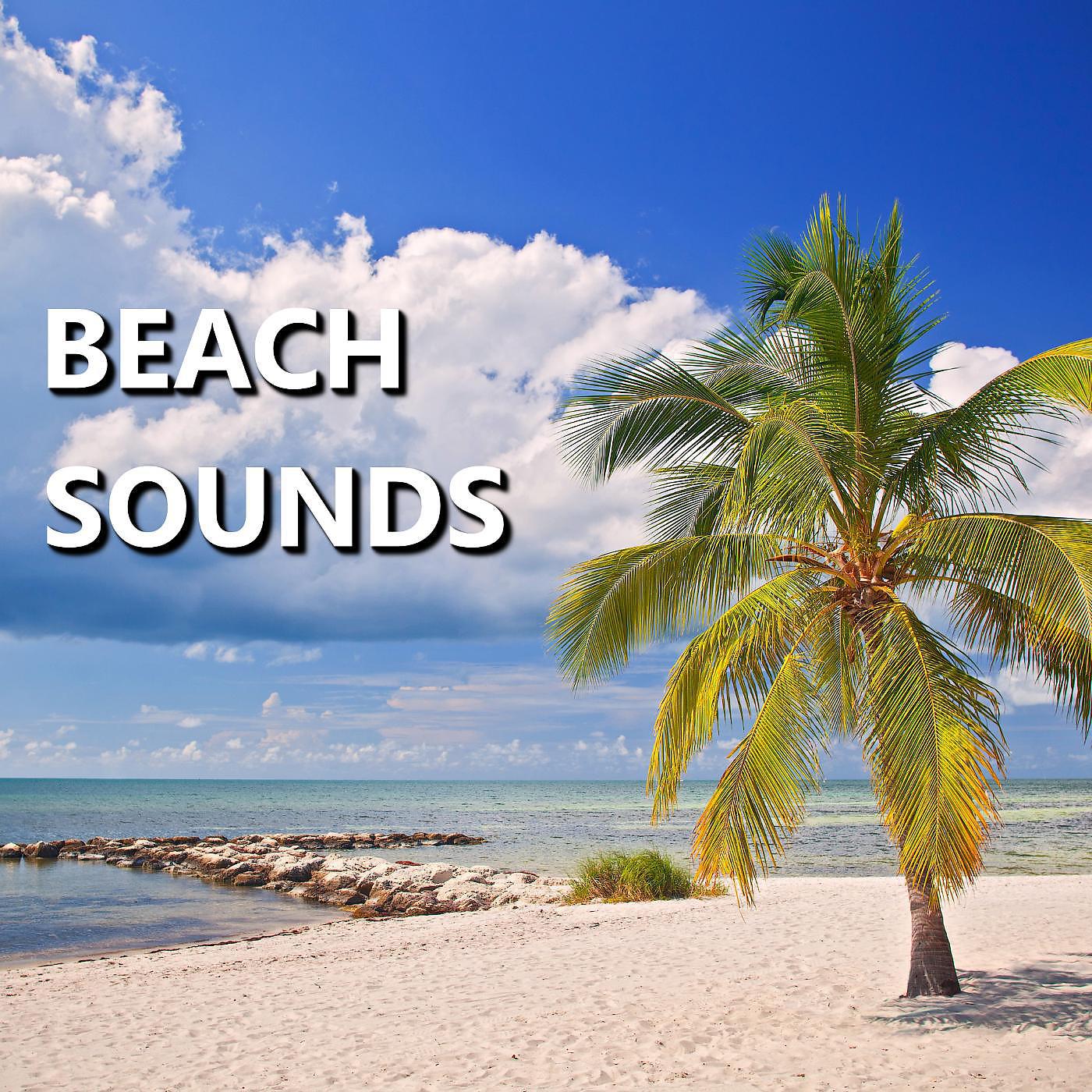 Постер альбома Beach Sounds