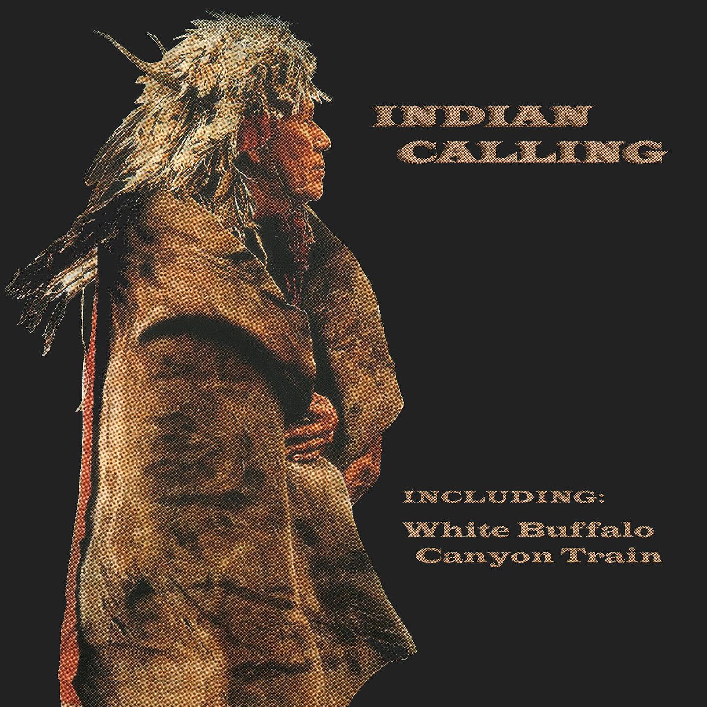 Постер альбома Indian Calling