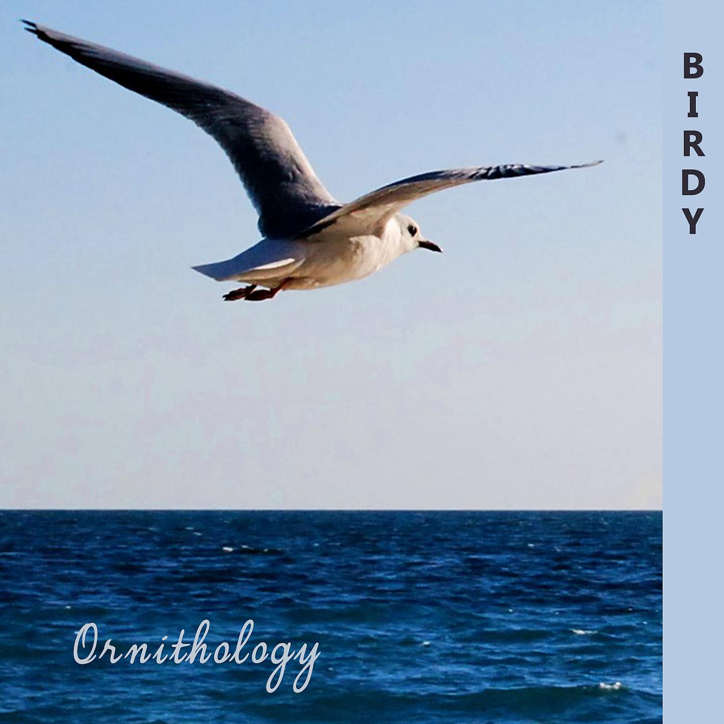 Постер альбома Ornithology