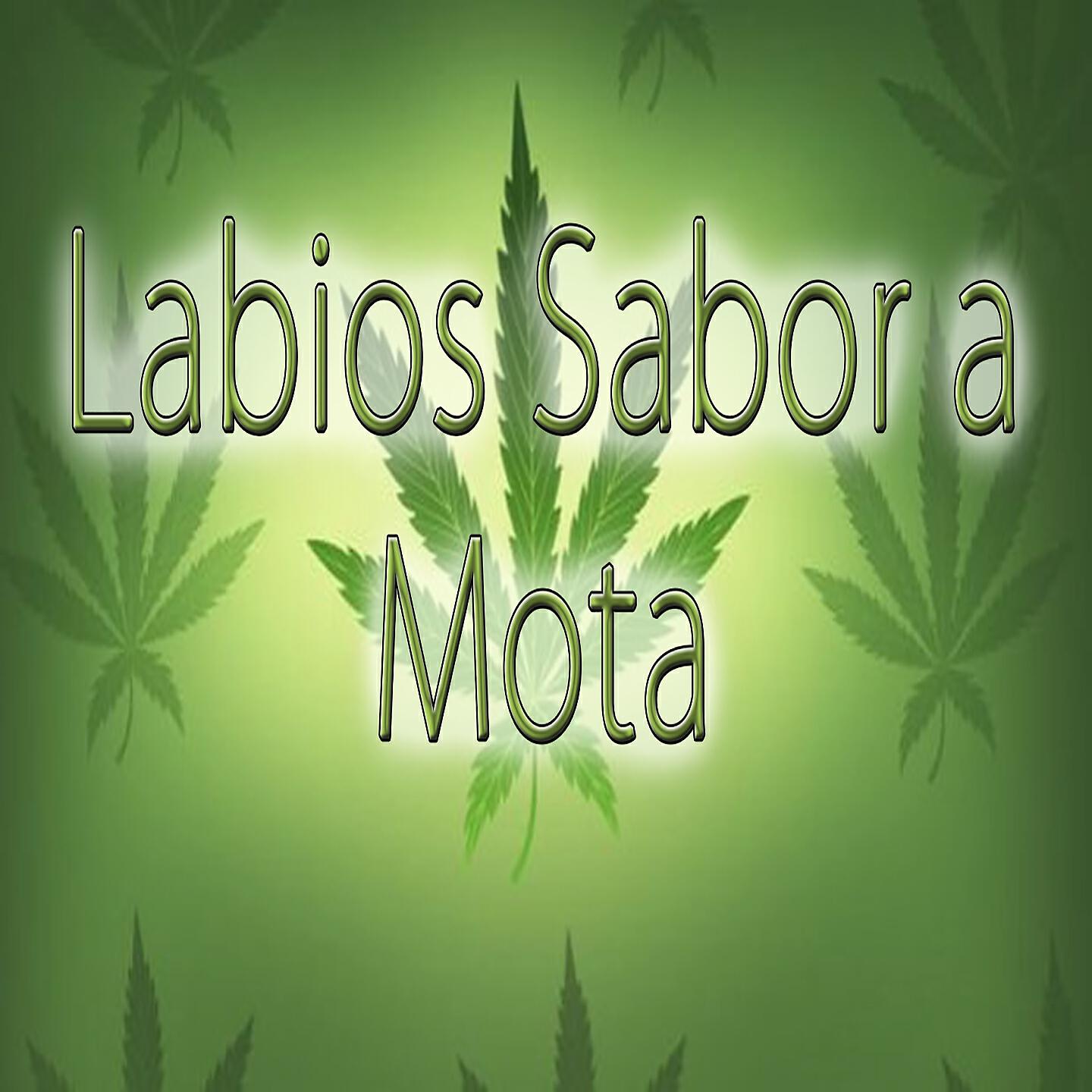 KLOEF TJR - Labios Sabor a Mota