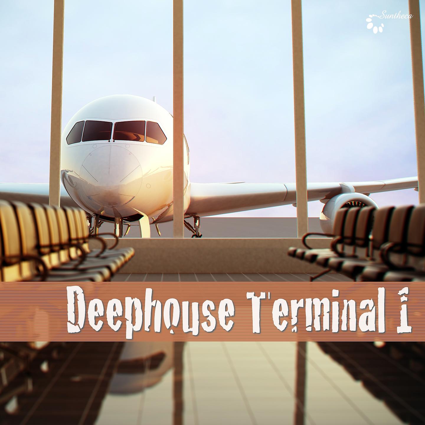 Постер альбома Deephouse Terminal 1