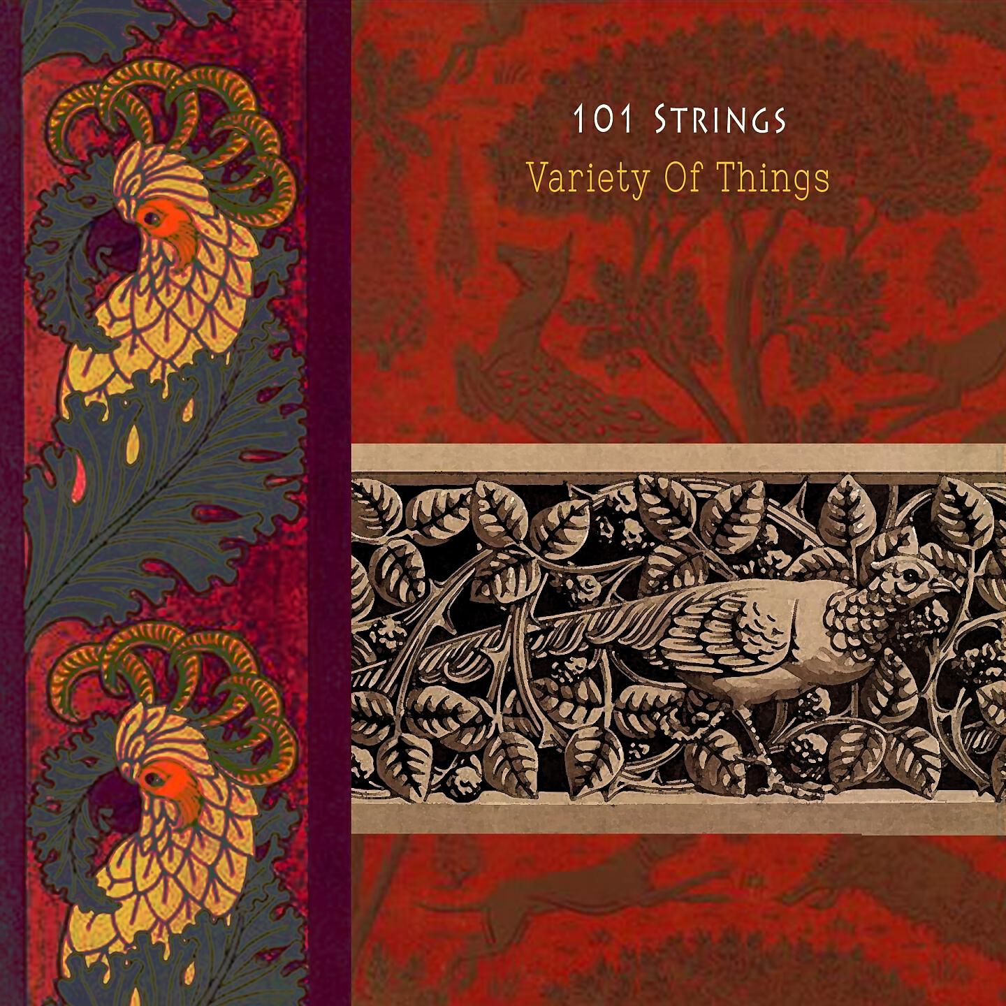 101 Strings - Torchlight