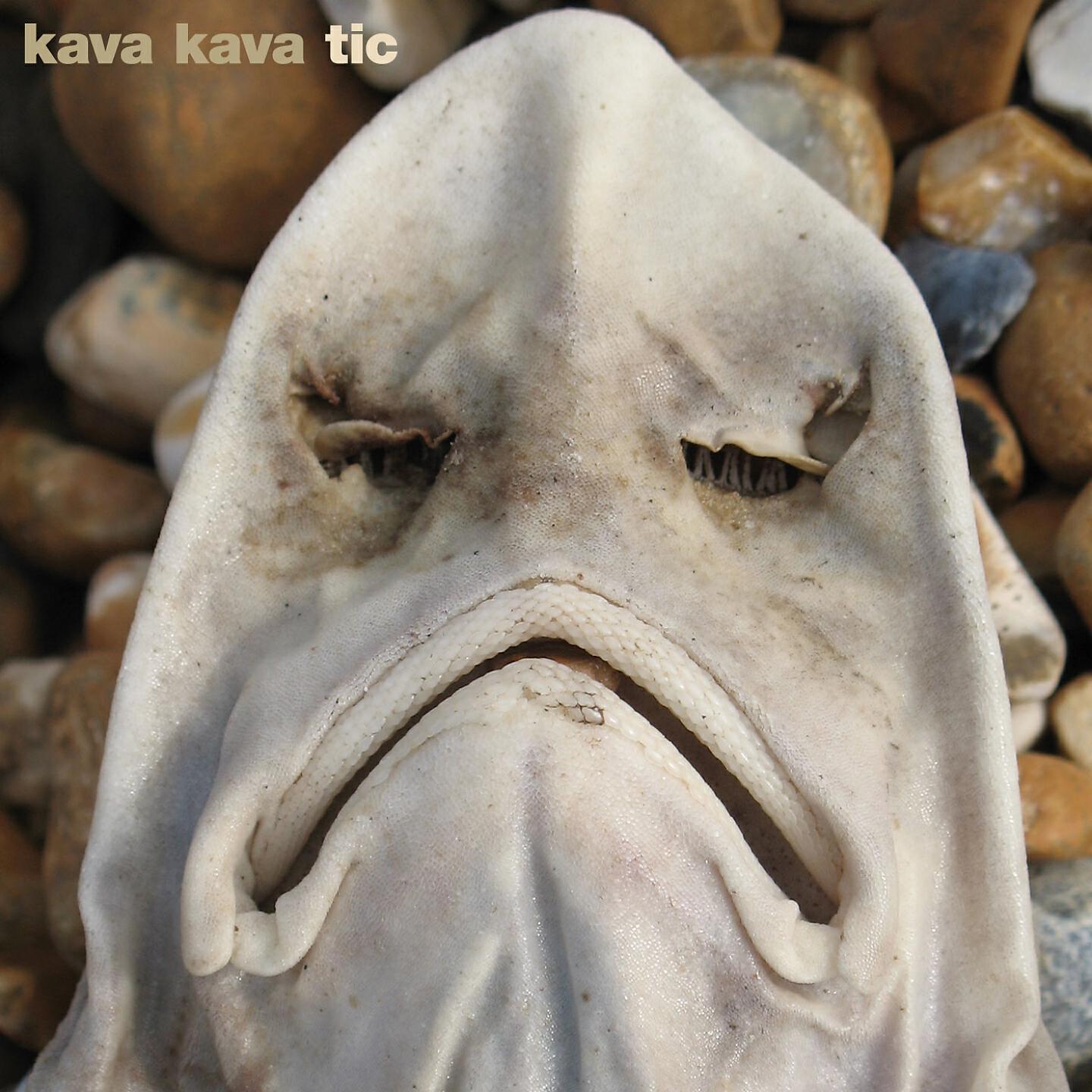 Kava Kava - Tic
