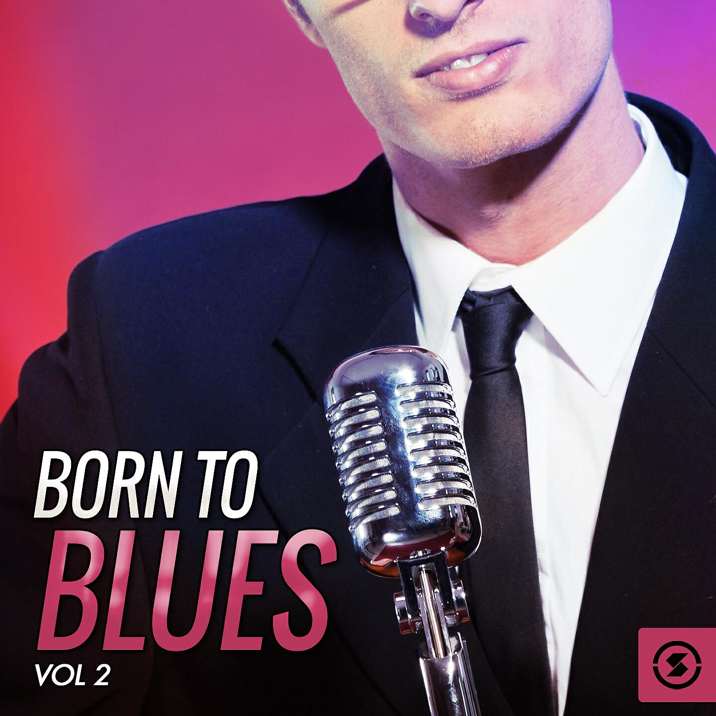 Billy Boy Arnold & Tony McPhee - Blue and Lonesome