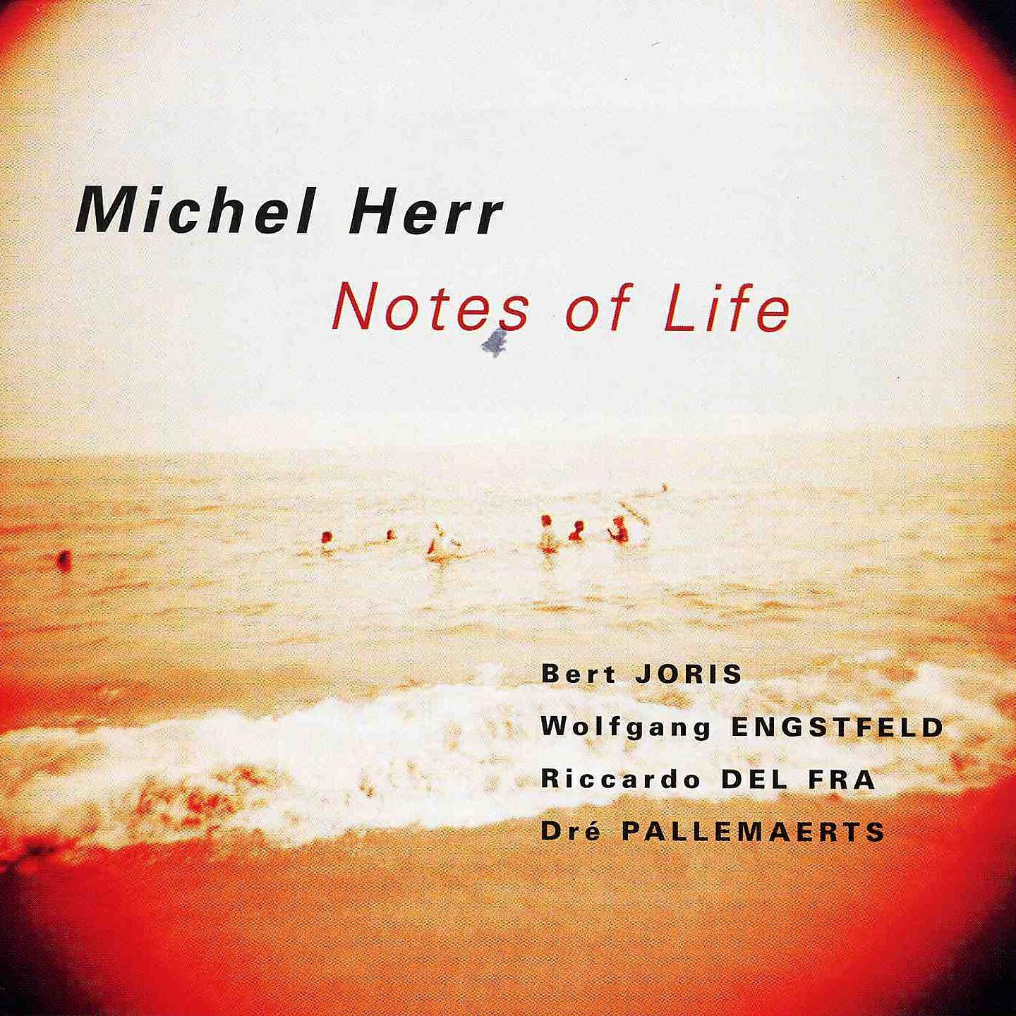 Michel Herr - Strange Ideas