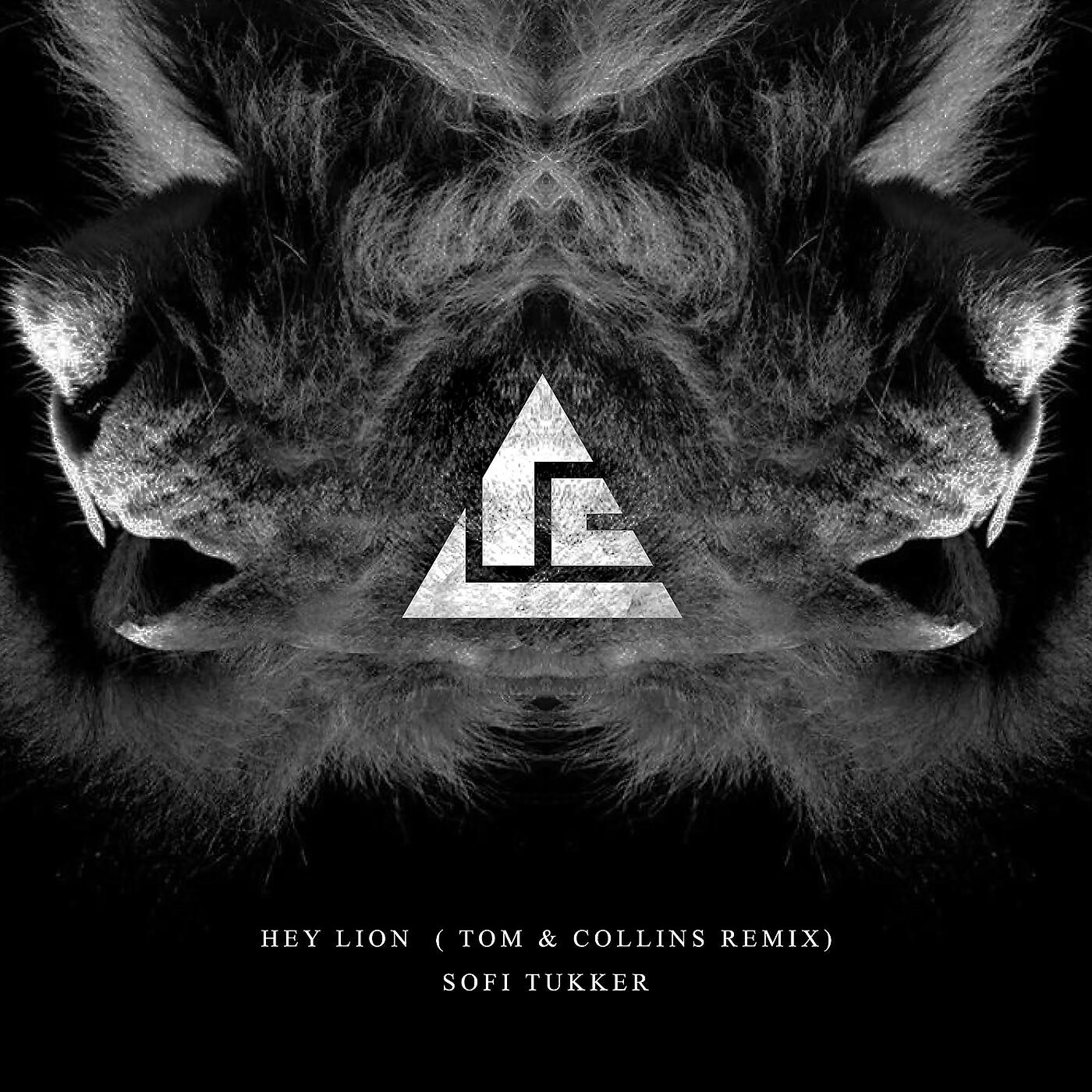 SOFI TUKKER - Hey Lion (Tom & Collins Remix)