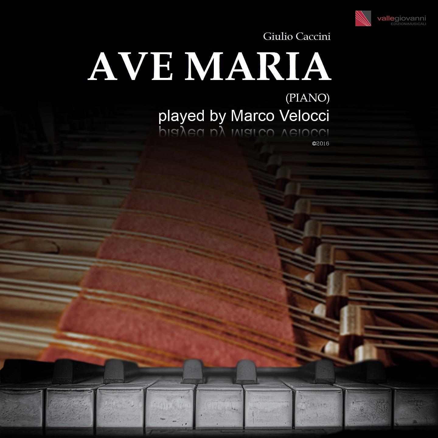 Постер альбома Vavilov: Ave Maria