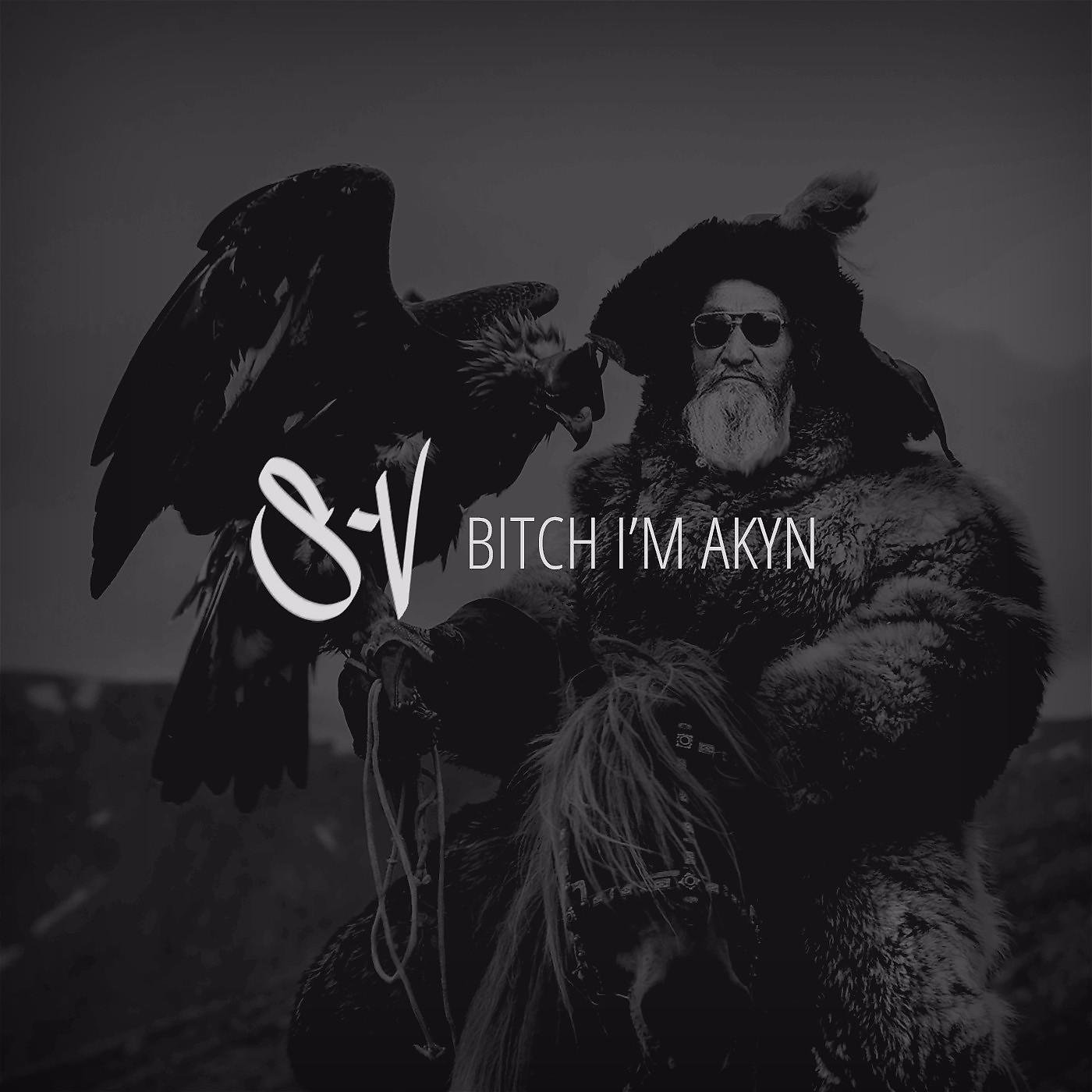 Постер альбома Bitch I'm Аkyn