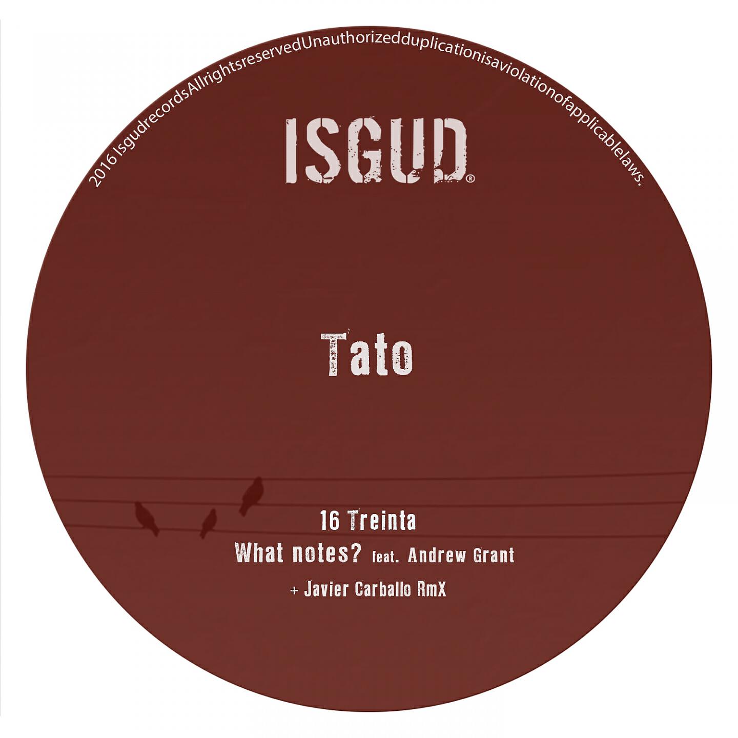 Tato - What Notes? (Javier Carballo RMX)