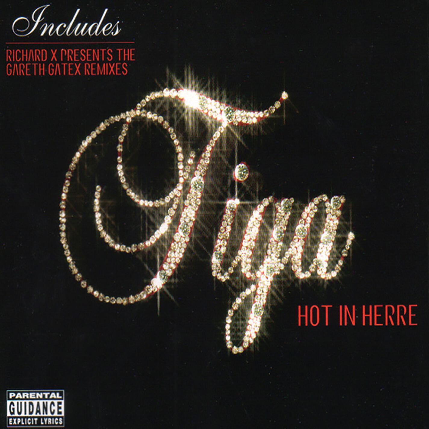 Tiga - Hot in Herre (Dub)