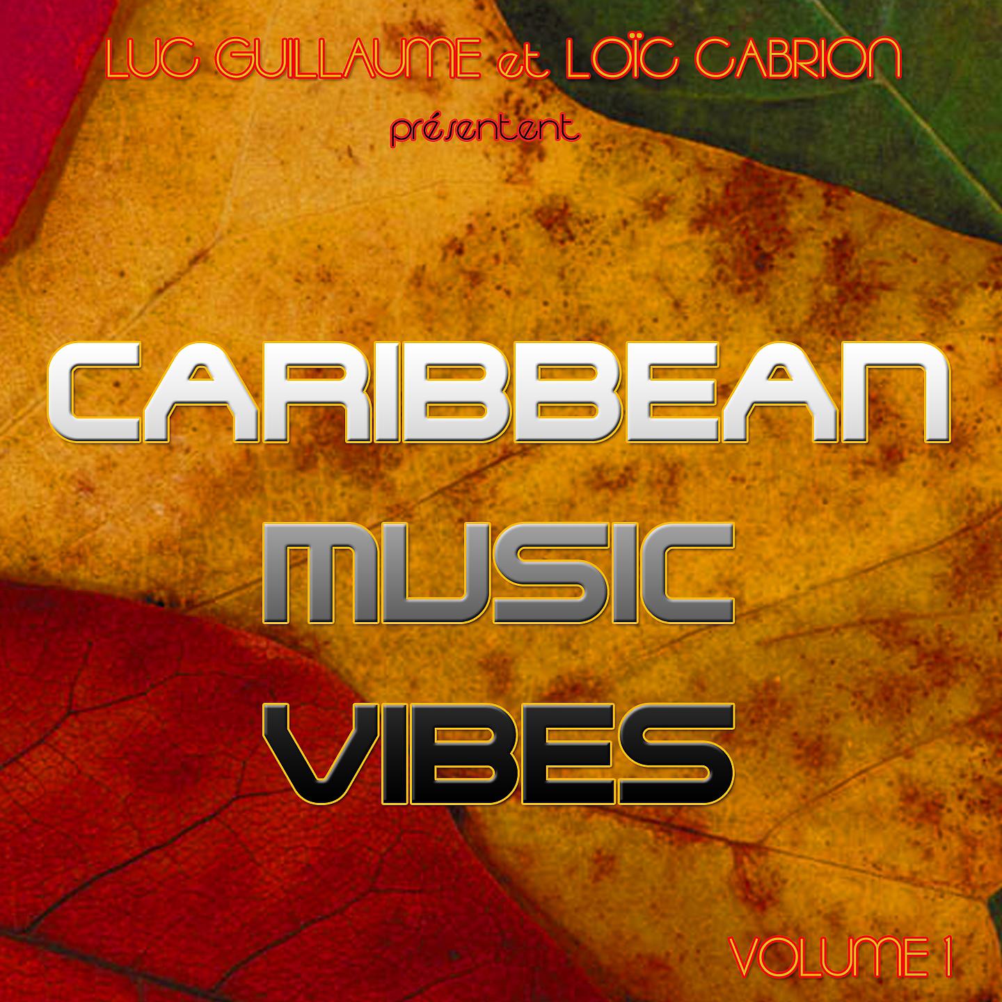 Постер альбома Caribbean Music Vibes, Vol. 1