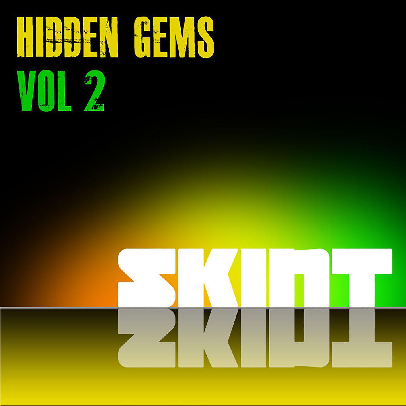 Постер альбома Skint Hidden Gems, Vol. 2