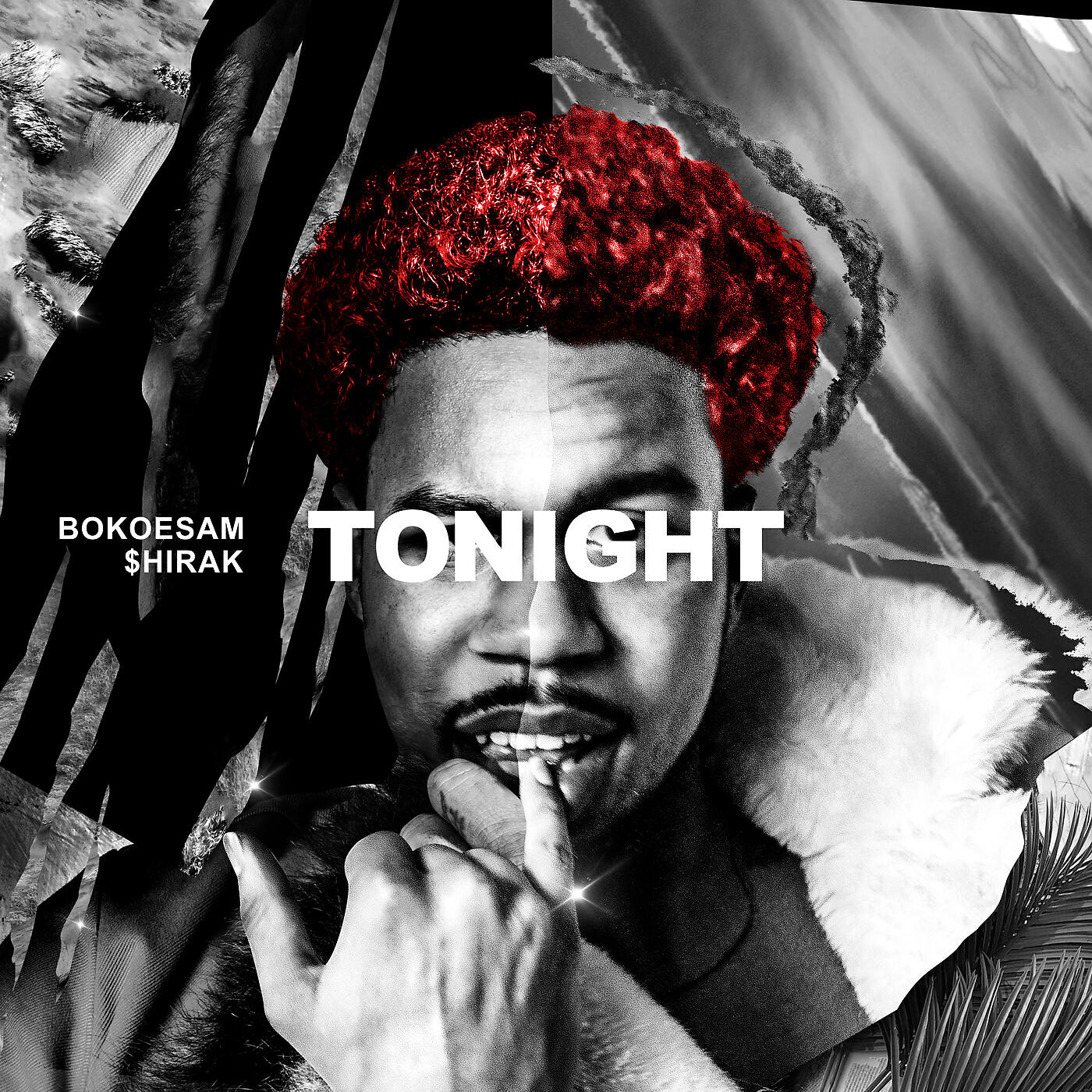 Bokoesam - Tonight