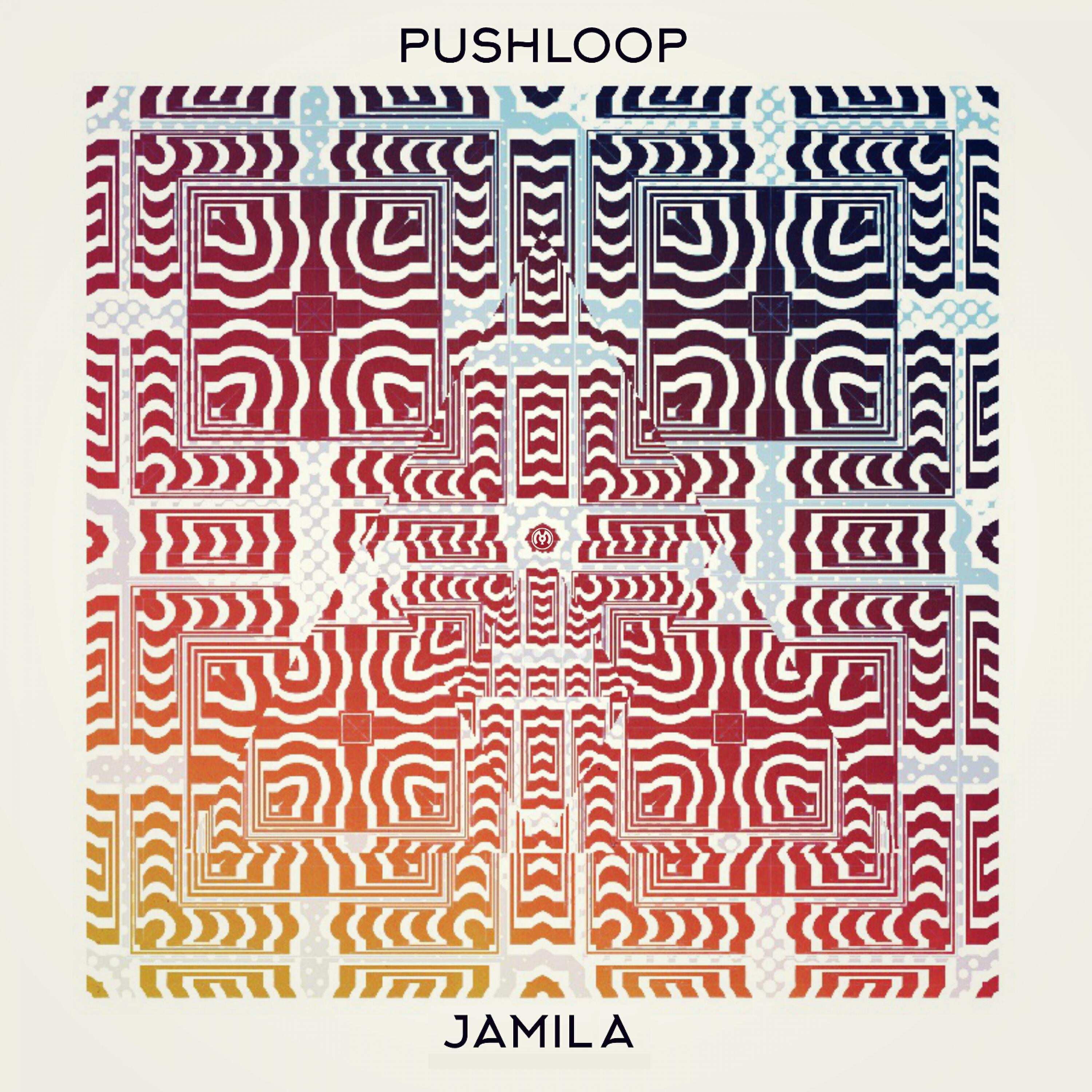 Pushloop - Aluminium
